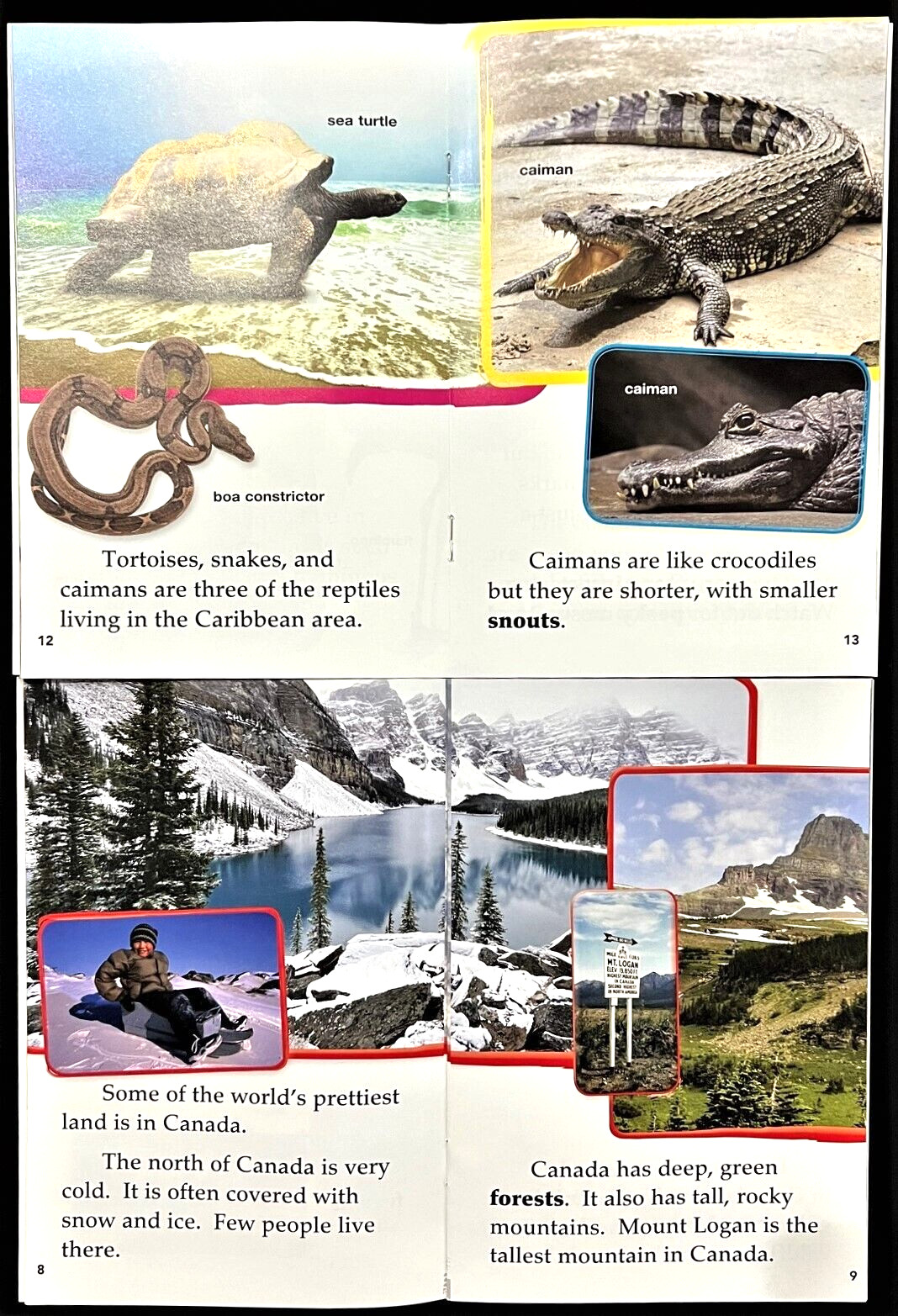 2nd Grade – TIME FOR KIDS (SOCIAL STUDIES & SCIENCE) 30 Nonfiction Reader Books
