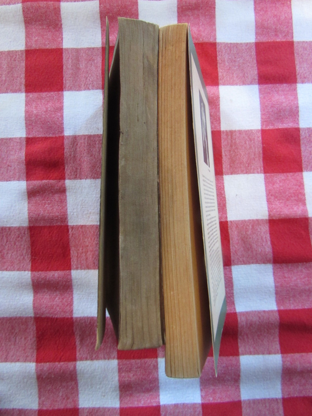 Vintage Sherlock Holmes 2 Book Lot; Memoirs of… & Tales of…, SC