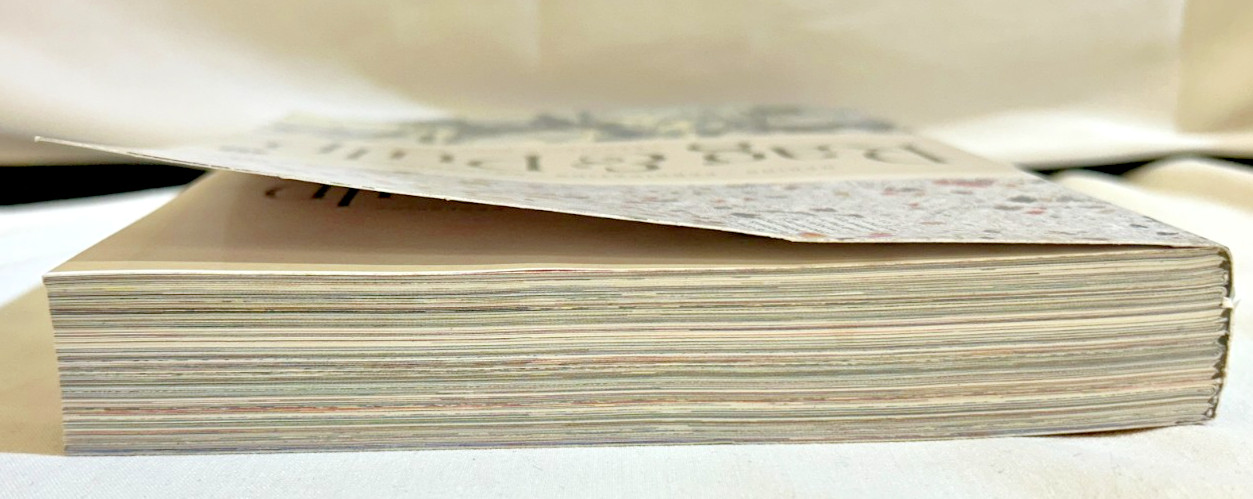 Rag &Pulp: Creativity with Paper. Janine Vangool /Uppercase ~ Book ONLY