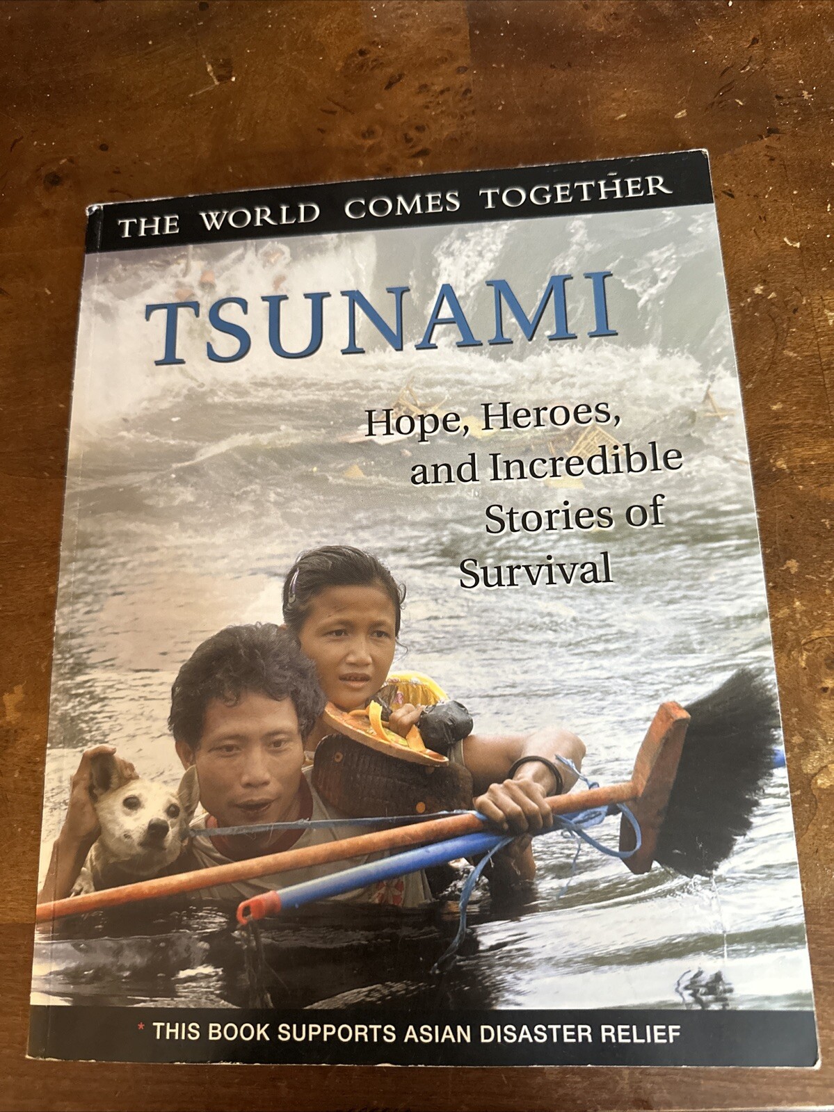 Tsunami: Hope, Heroes, and Incredible Stories of Survival by Triumph Books NEW