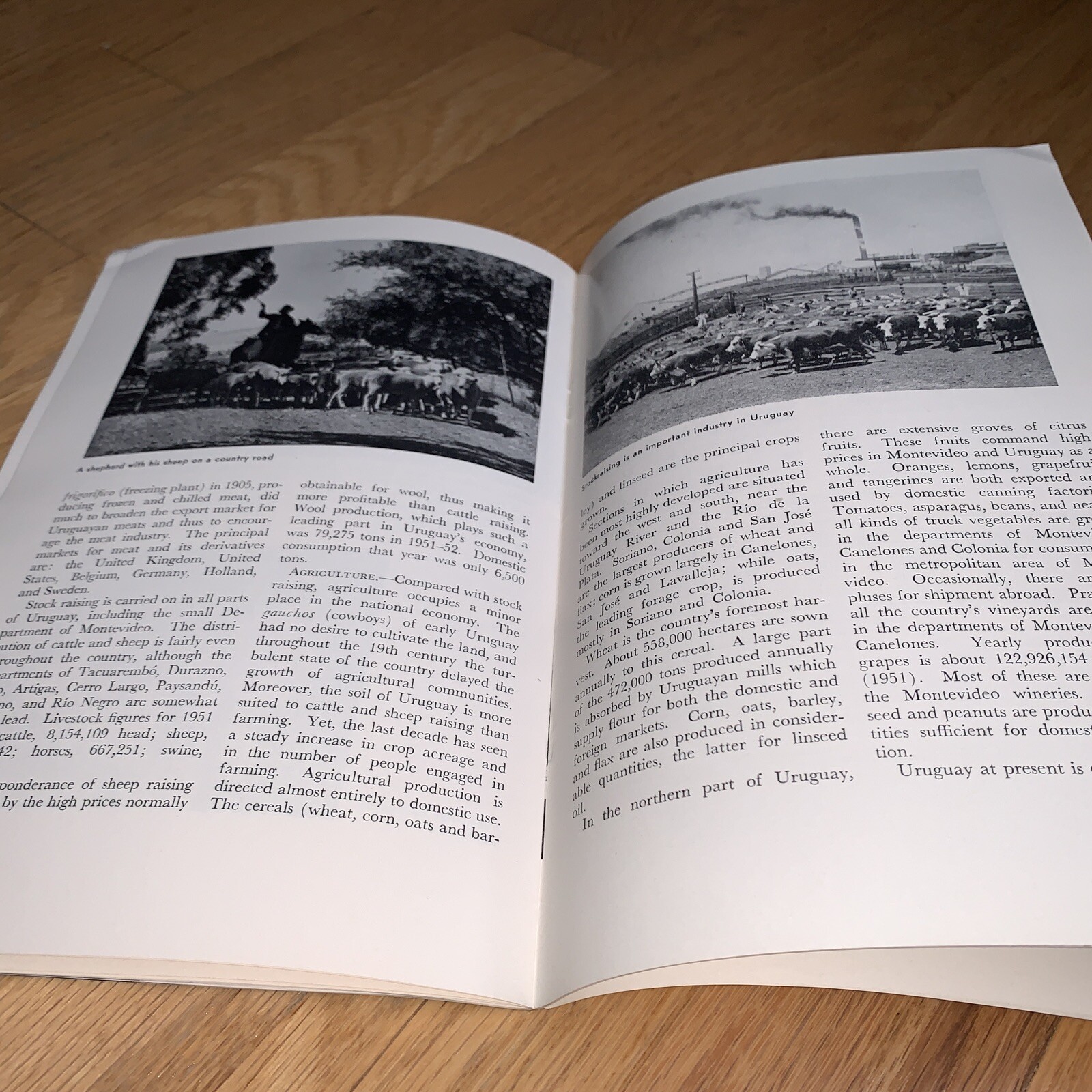 1954 PAN AMERICAN UNION Book – URUGUAY 39 pages