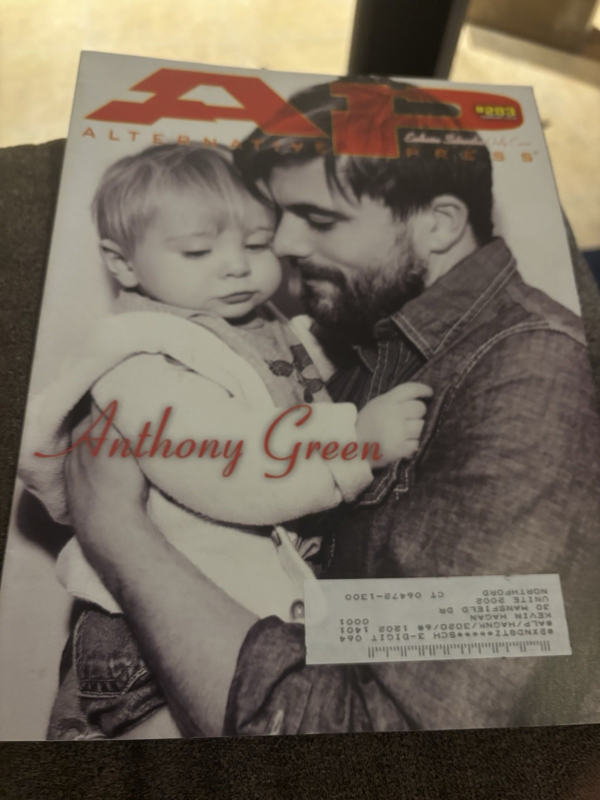 Alternative Press 283 Anthony Green HUGE blink 182 my Chemical Romance Posters