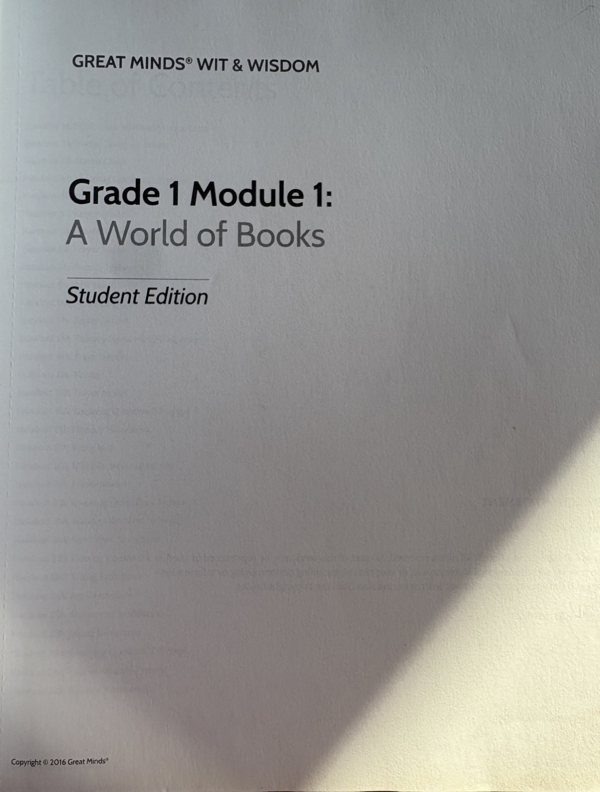 Great Minds Module 1: A World of Books; Wit & Wisdom Grade 1, Student Edition