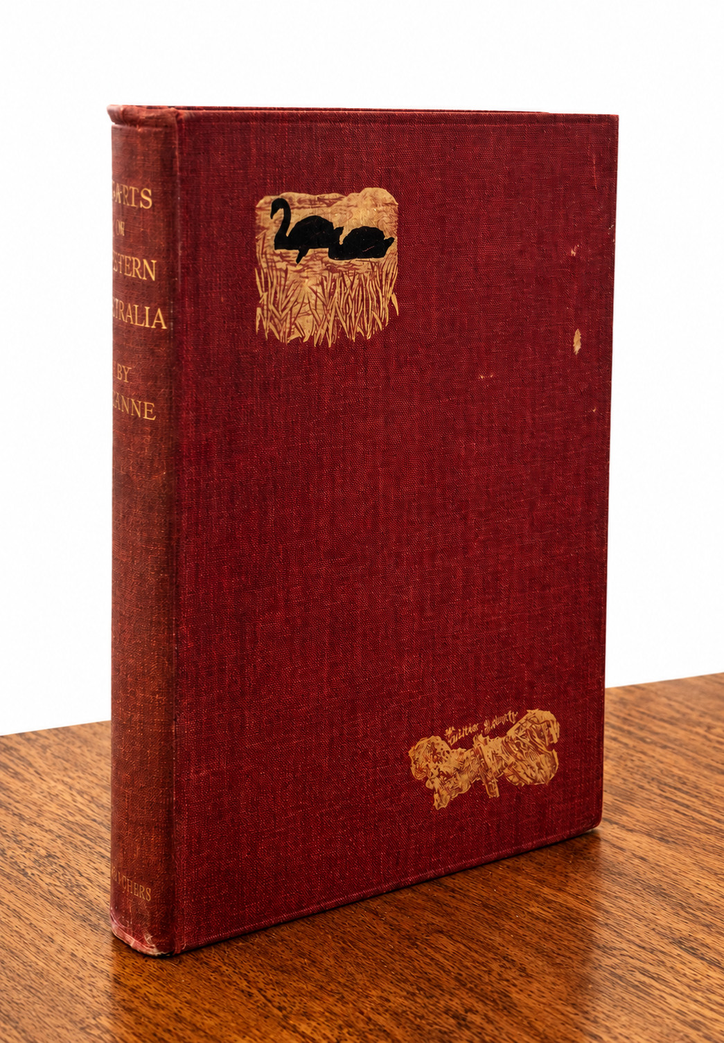 RARE (1902) MAY VIVIENNE ‘Travels in Western Australia’ VERY GOOD Hardcover