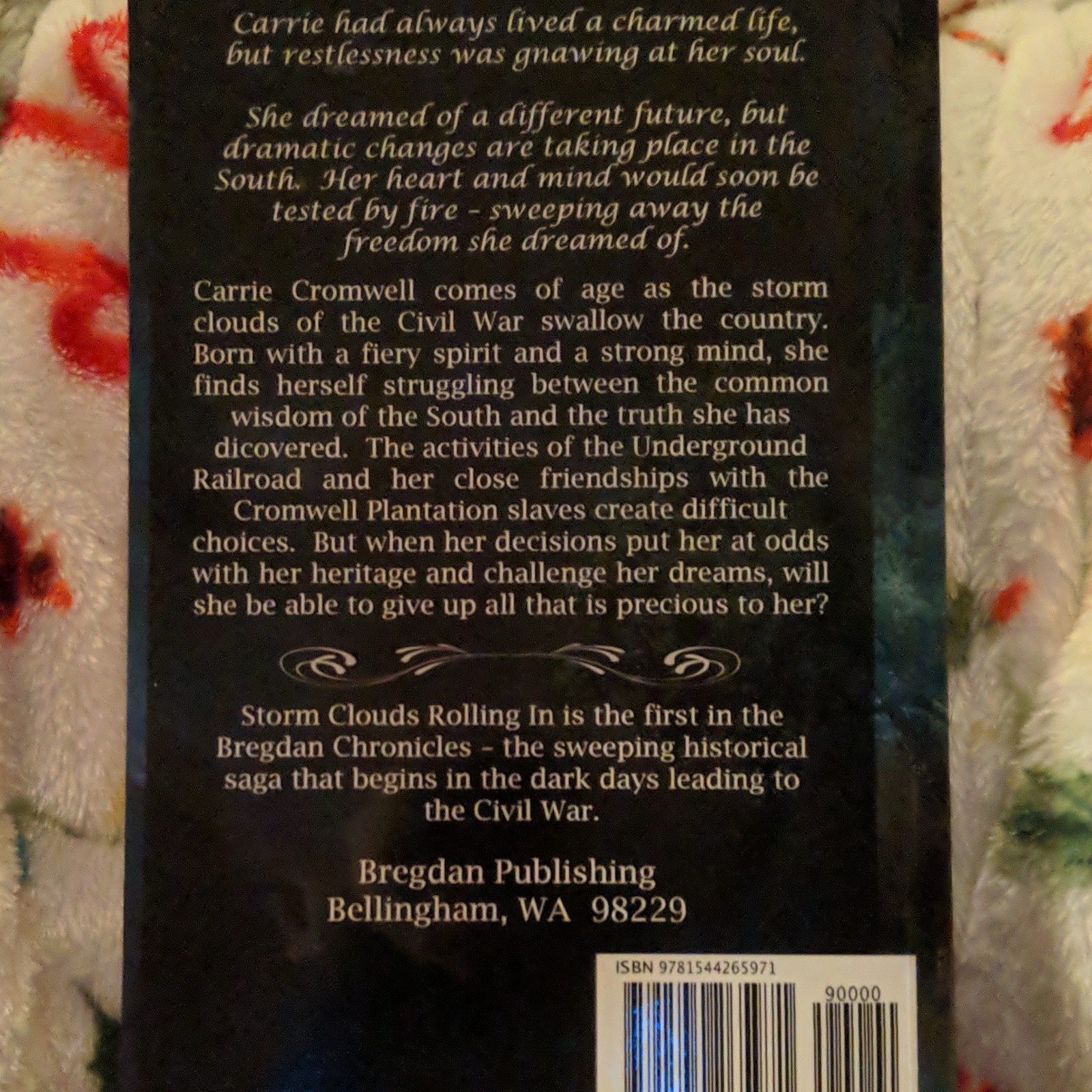 Storm Clouds Rolling In The Bregdan Chronicles by Ginny Dye Paperback 2010
