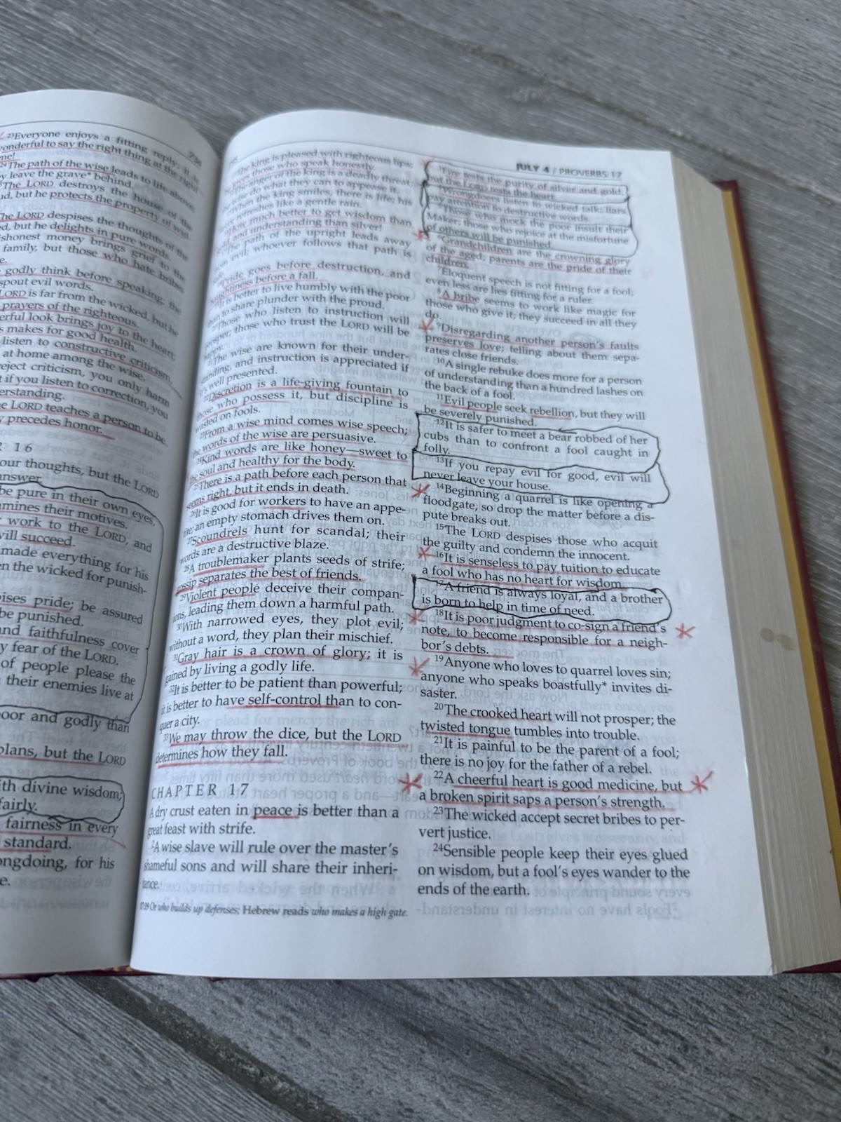 📅 The Daily Walk Bible NLT 1996 Hardback, Read Through The Bible In A Year