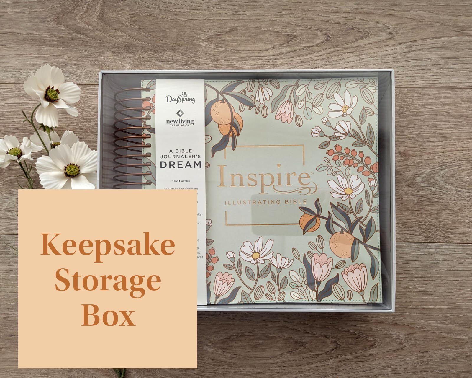 NLT DaySpring Inspire Illustrating Bible Filament Enabled