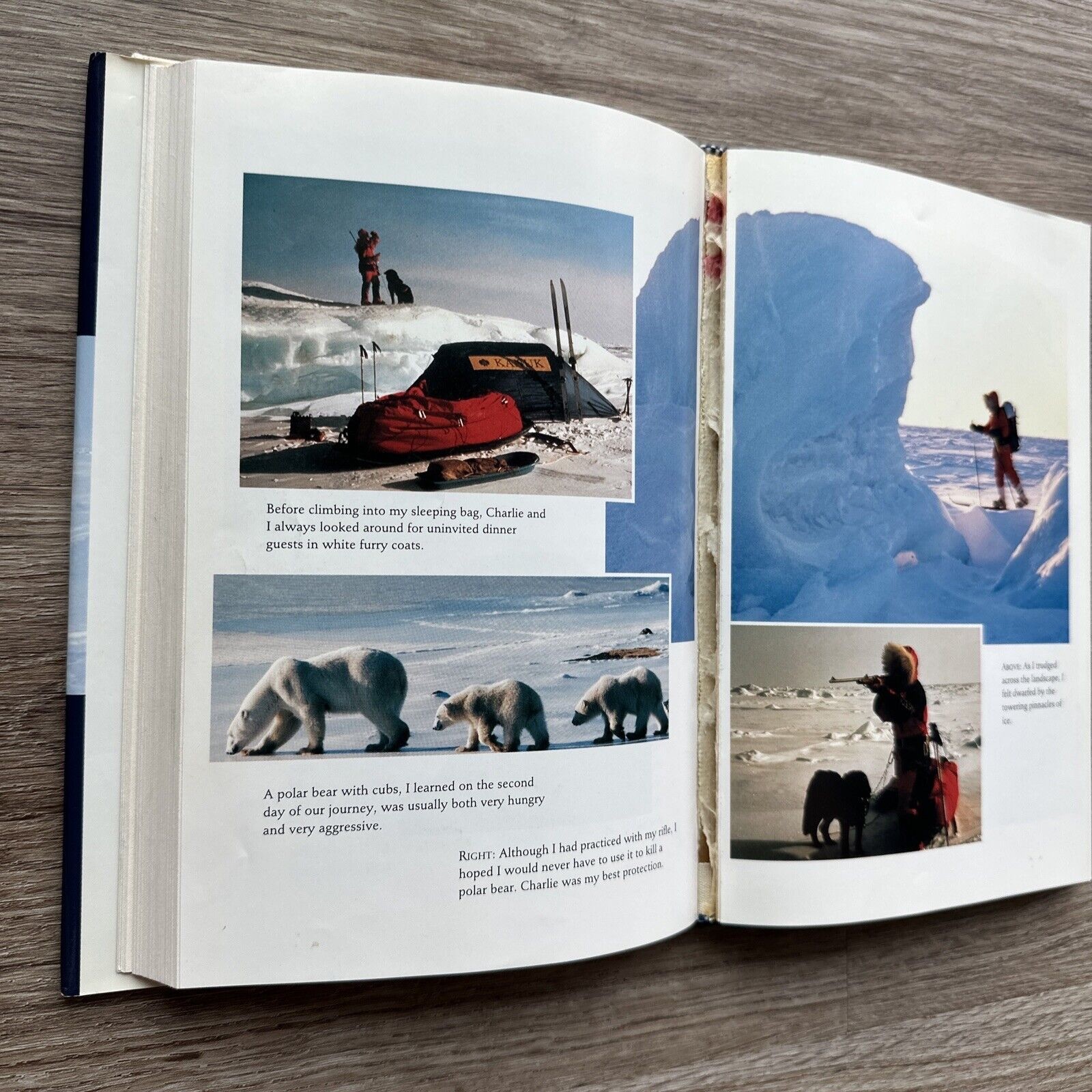 Polar Dream By Thayer, Helen – 1993 Hardcover Dust Jacket, Signed By Author