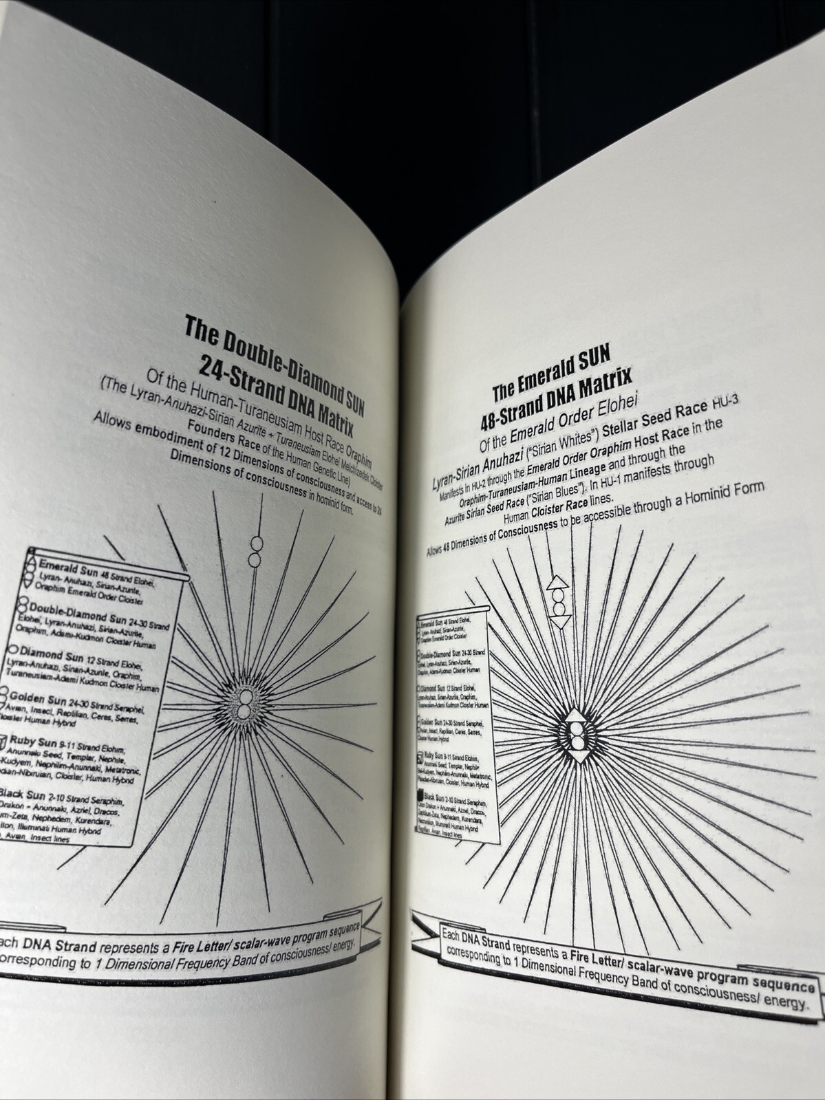 Angelic Realities The Survival Handbook By Ashayana Deane Ekr MC New Reprint