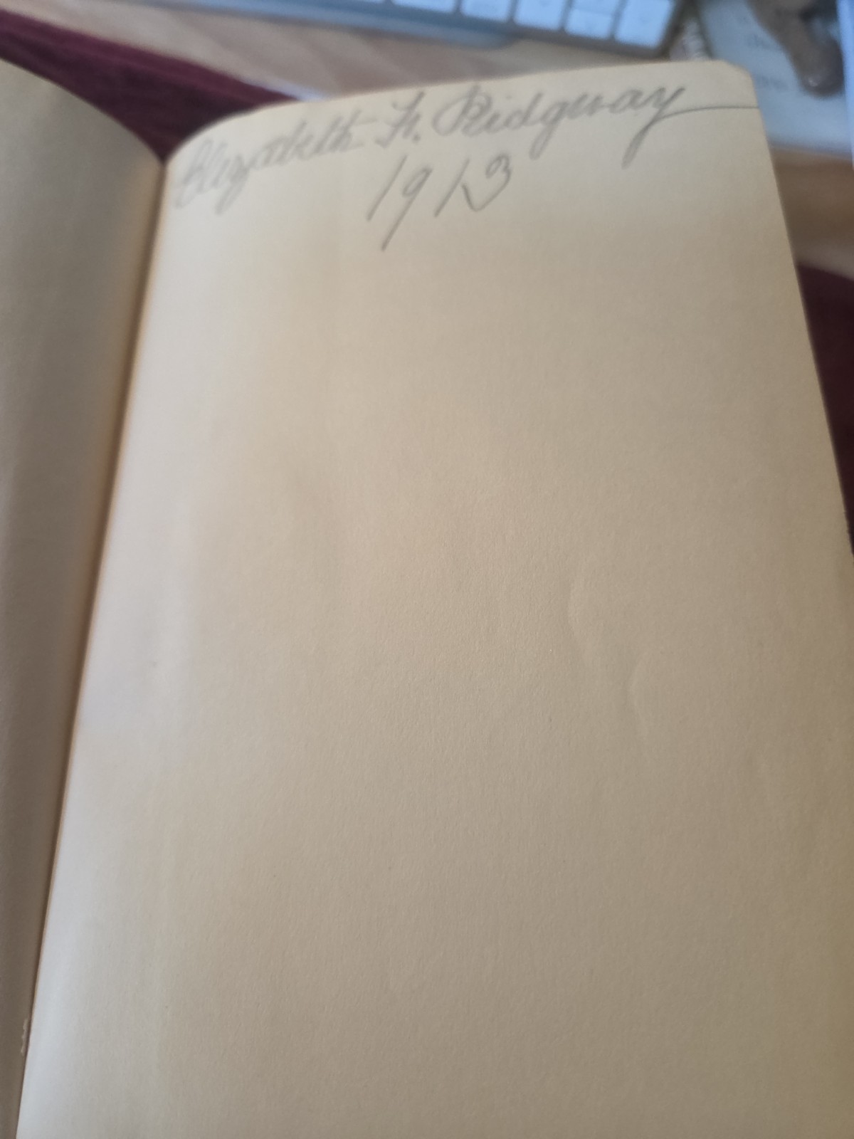 Sons and Lovers by D.H. LAWRENCE ~ First Edition 1913 ~ 1st US Printing
