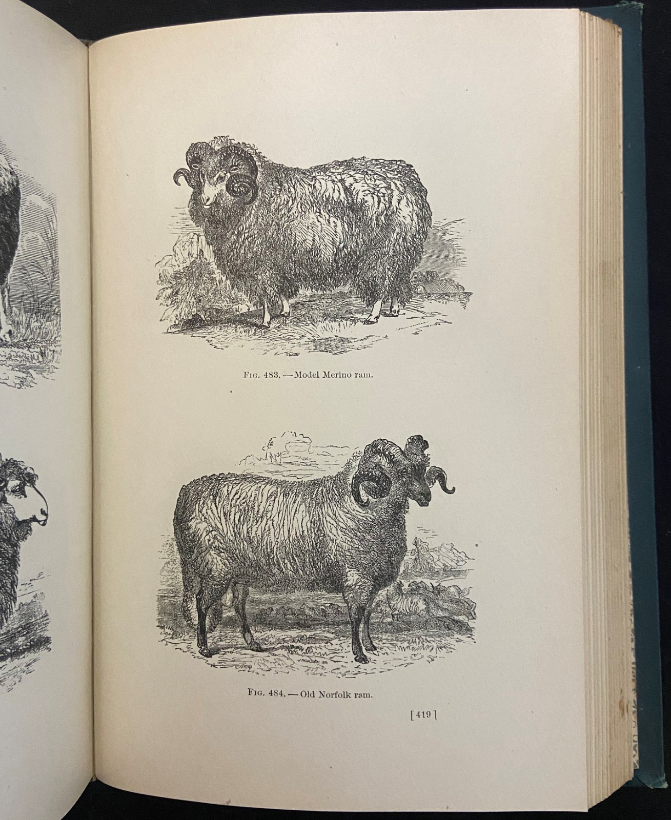 1898 THE FARMER’S ENCYCLOPEDIA Equestrian & Agriculture MAGNER Antique Farming