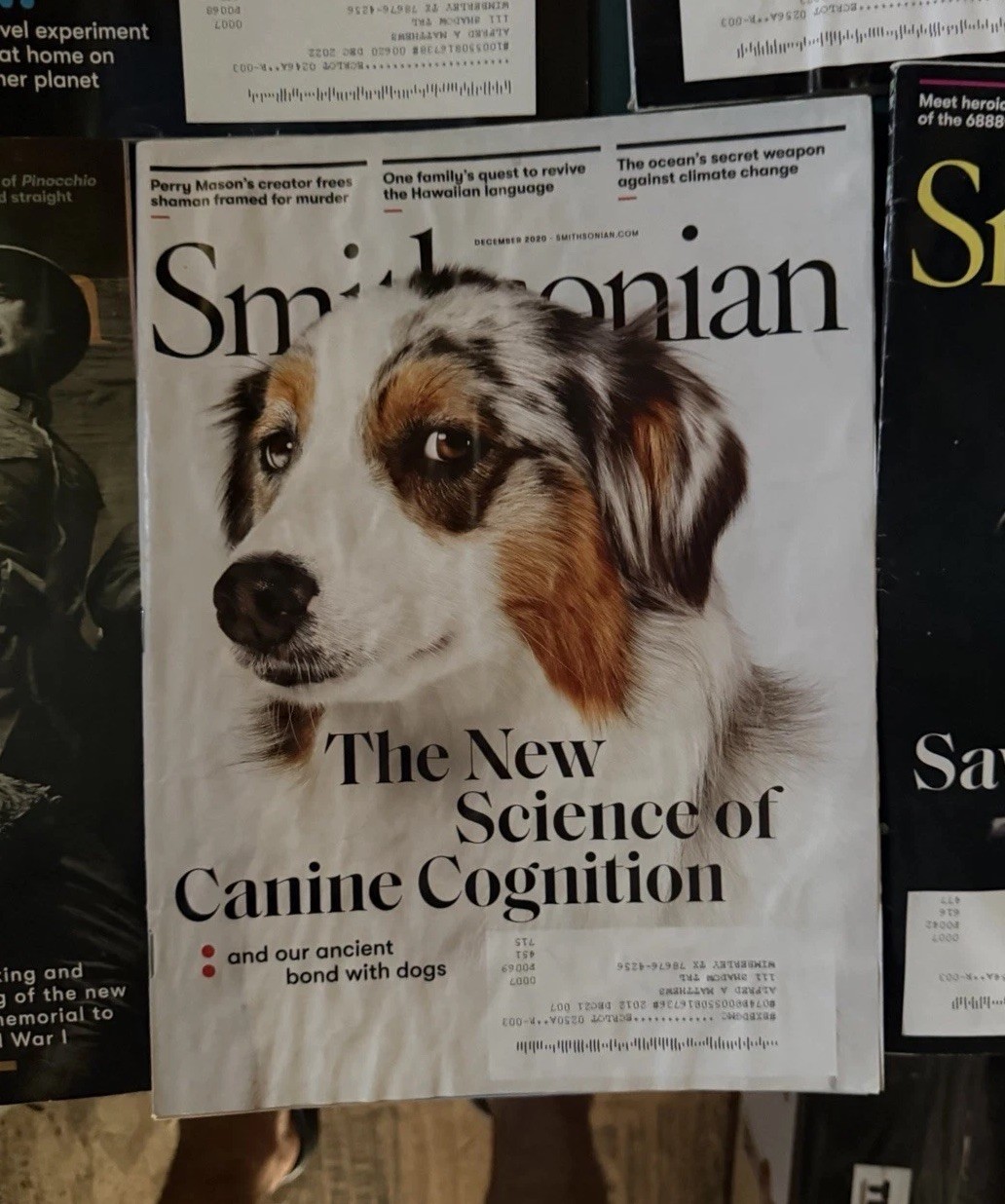 Mixed Lot Of 7 Smithsonian Magazines – 2020-2022-2023-2025 Mix