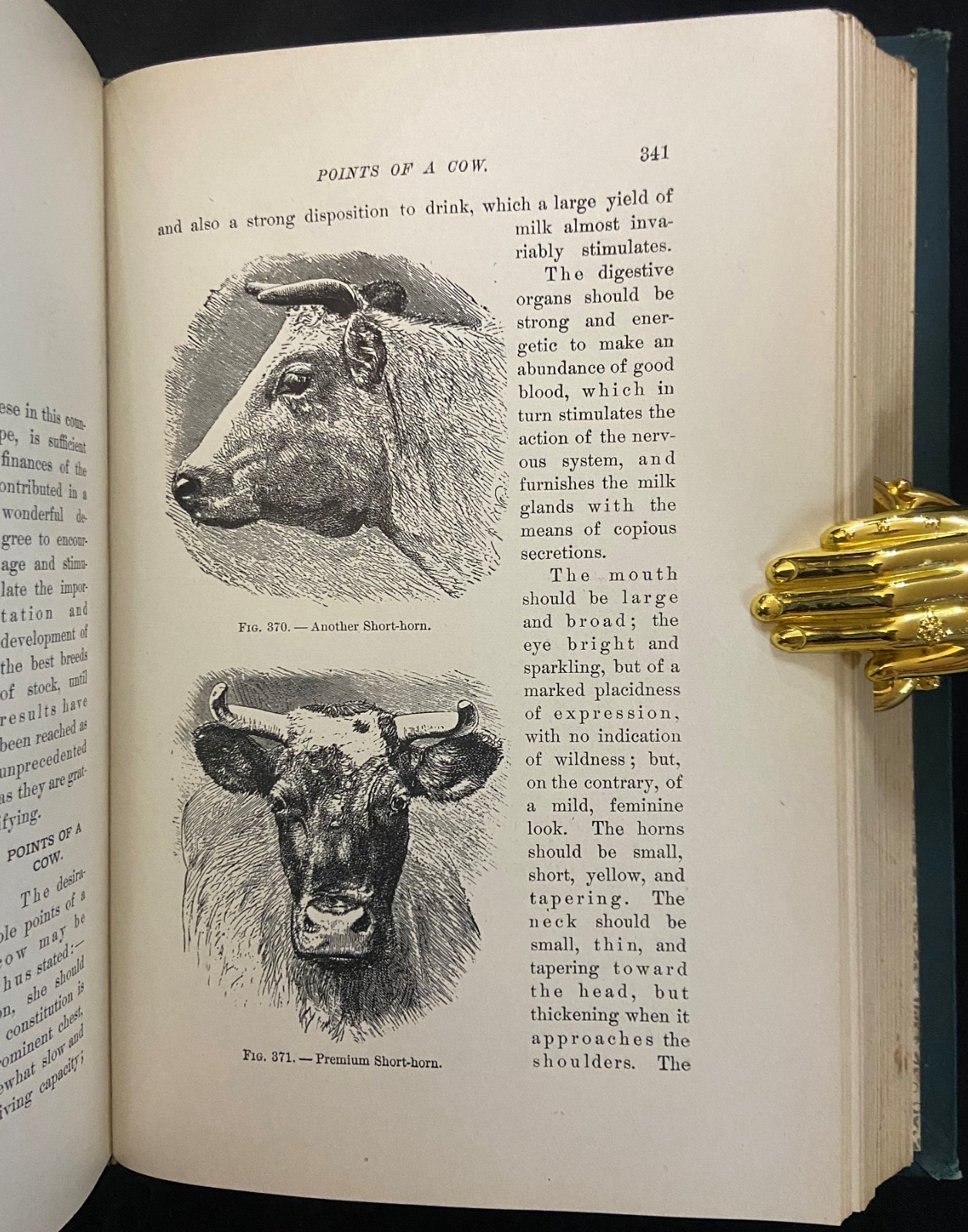 1898 THE FARMER’S ENCYCLOPEDIA Equestrian & Agriculture MAGNER Antique Farming