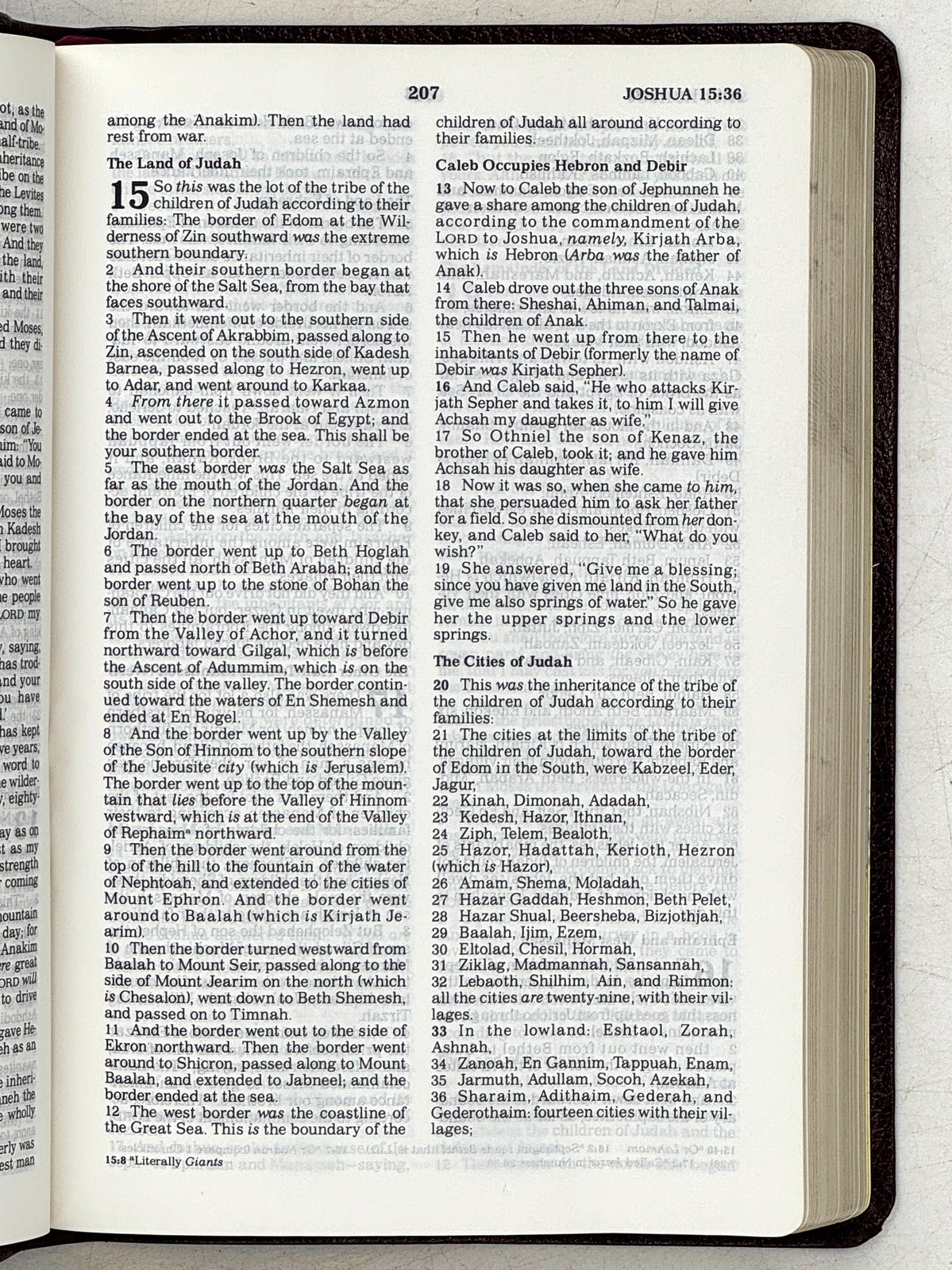 1999 NELSON The Holy Bible NKJV 3015BGM Bonded LEATHER VG