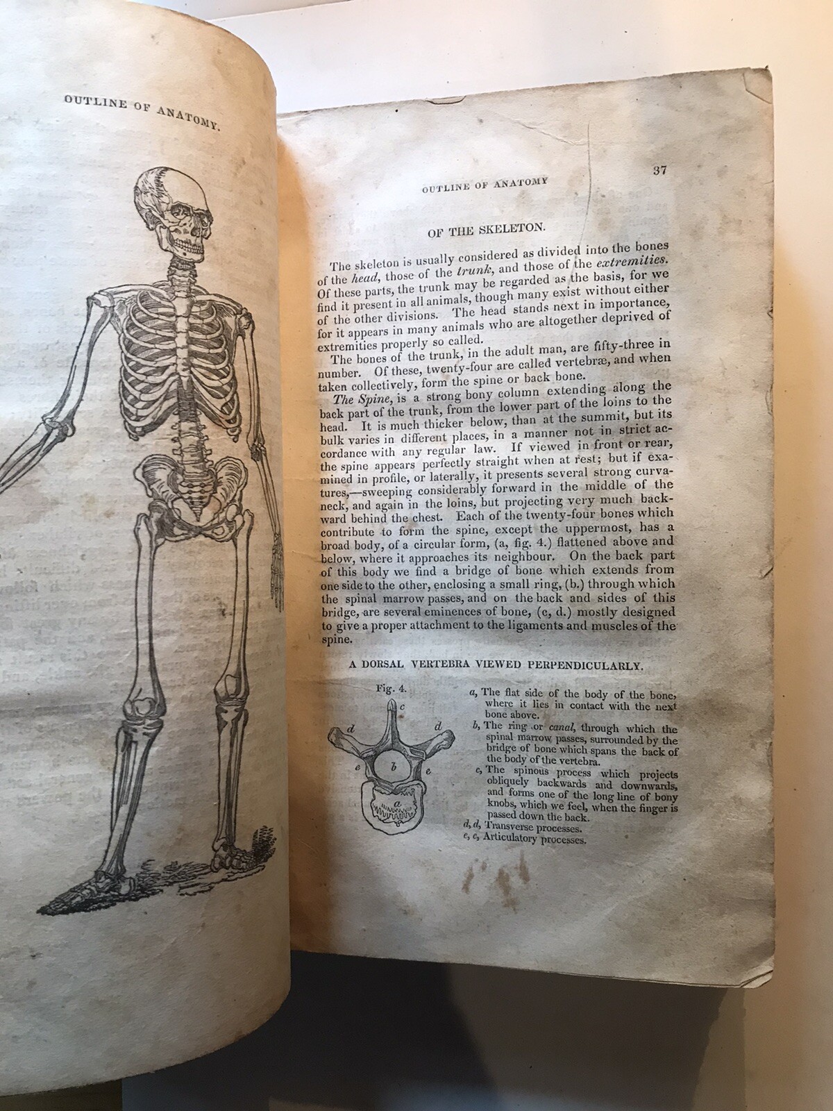 Popular Medicine Or Family Adviser, Reynell Coates, Leather, 1838, 1st Ed, RARE