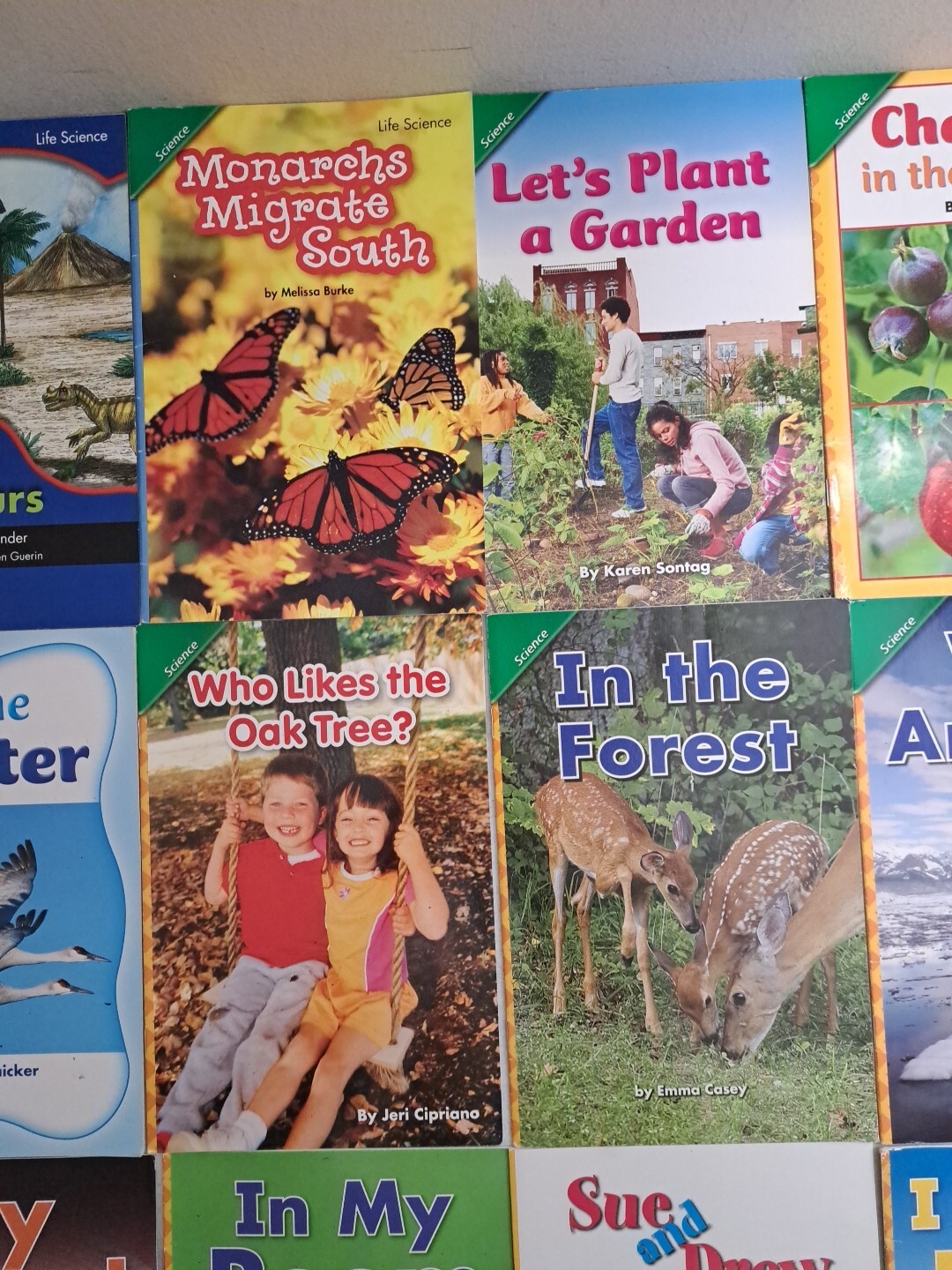 Lot Of 20 Level 1 Readers-Science, Social Studies, Etc-Grade 1