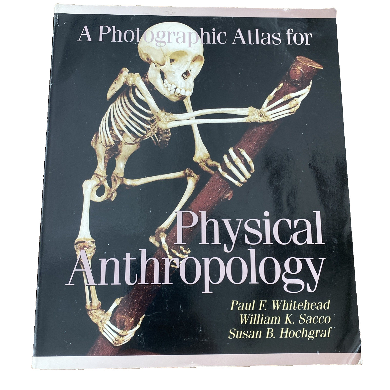 A Photographic Atlas for Physical Anthropology Whitehead 2005 Anatomy Evolution