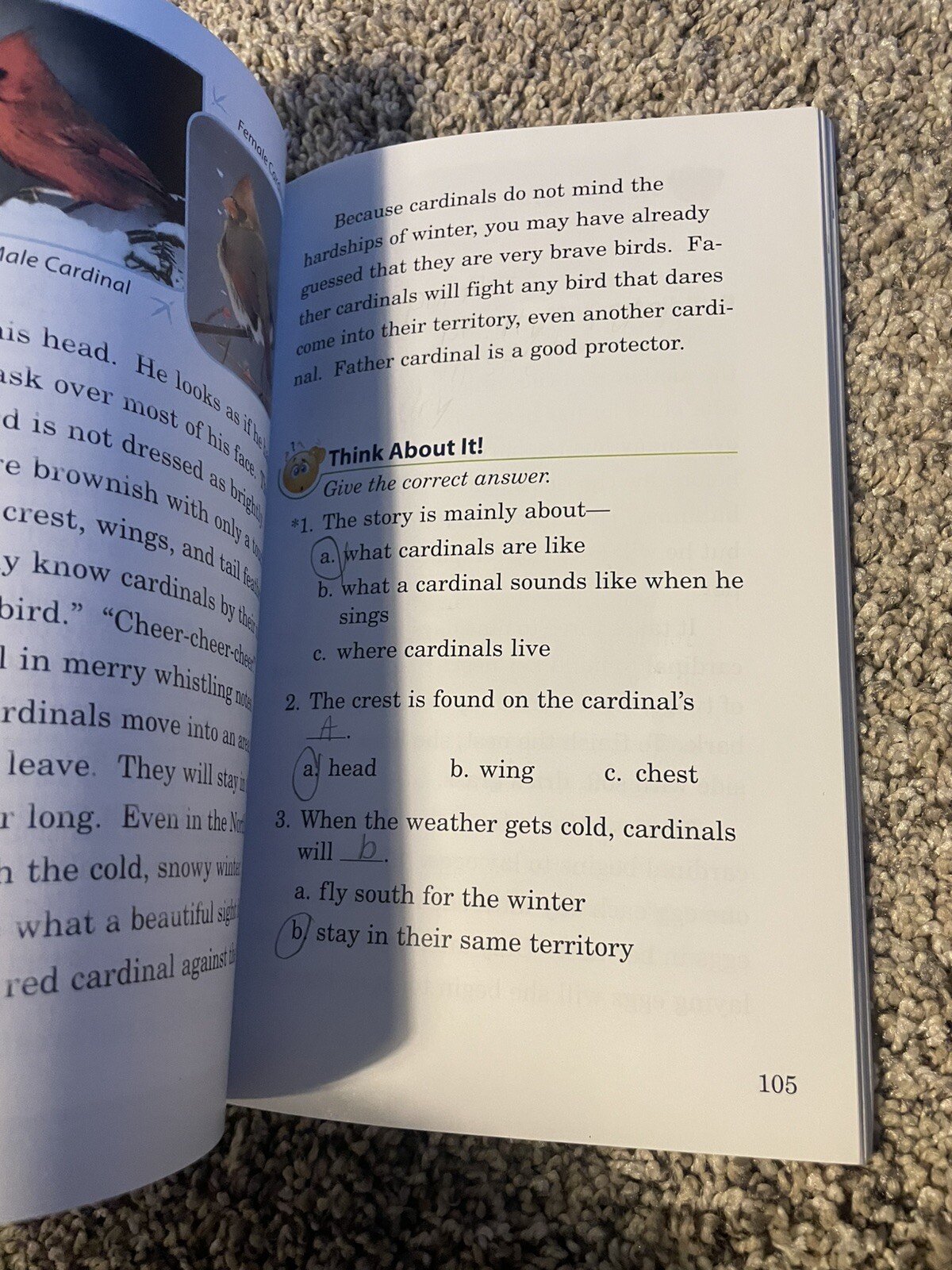 A Beka Book: Lot of 15 homeschool TPB Reading Program, Teachers Edition… ABEKA