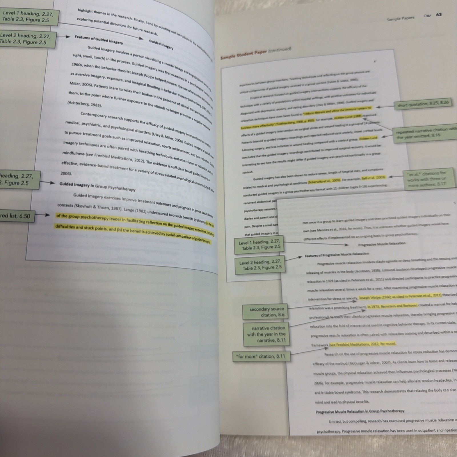 Publication Manual (OFFICIAL) 7th Edition of the American Psychological…