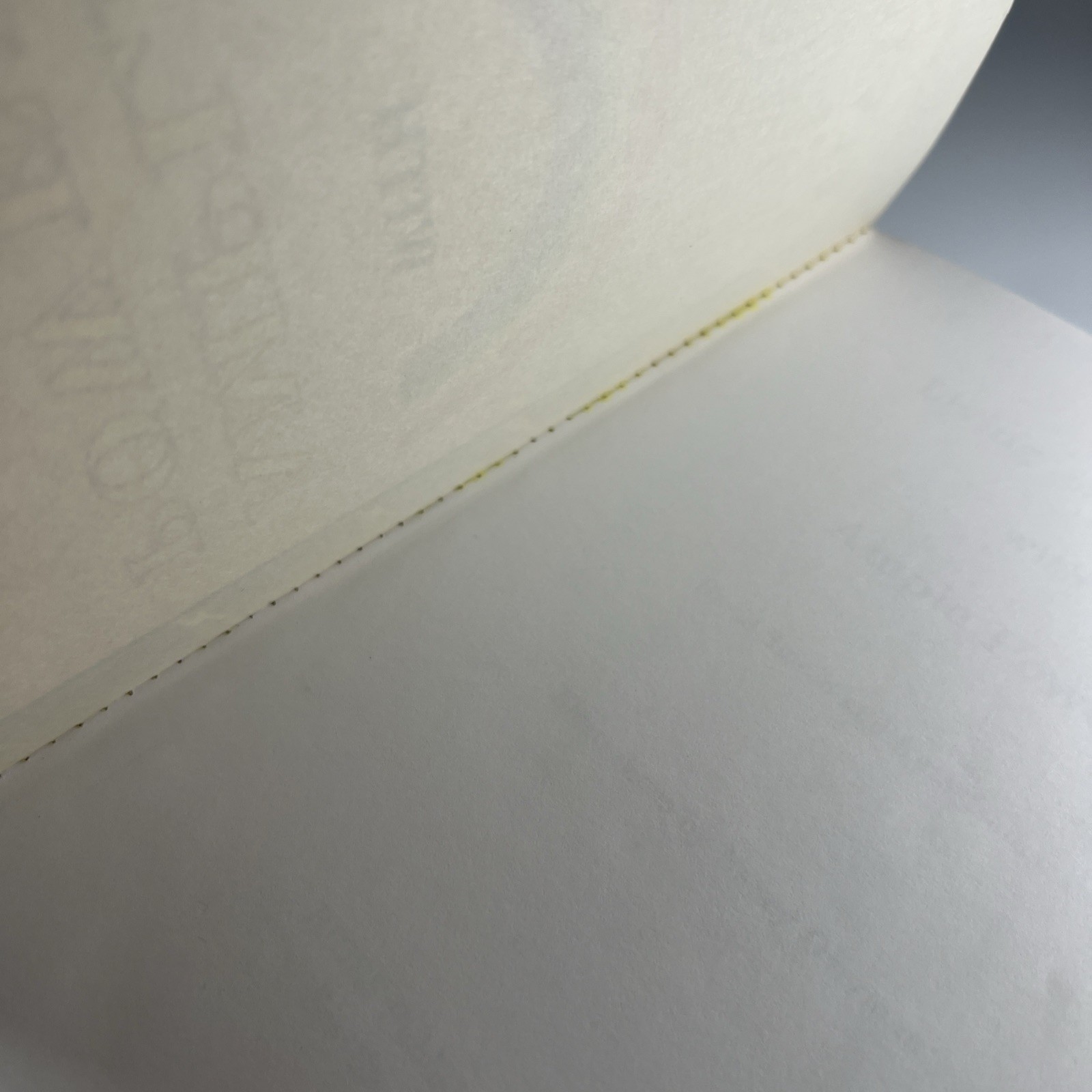 Living on 12 Volts With Ample Power 1990 4th printing David Smead Ruth Ishihara