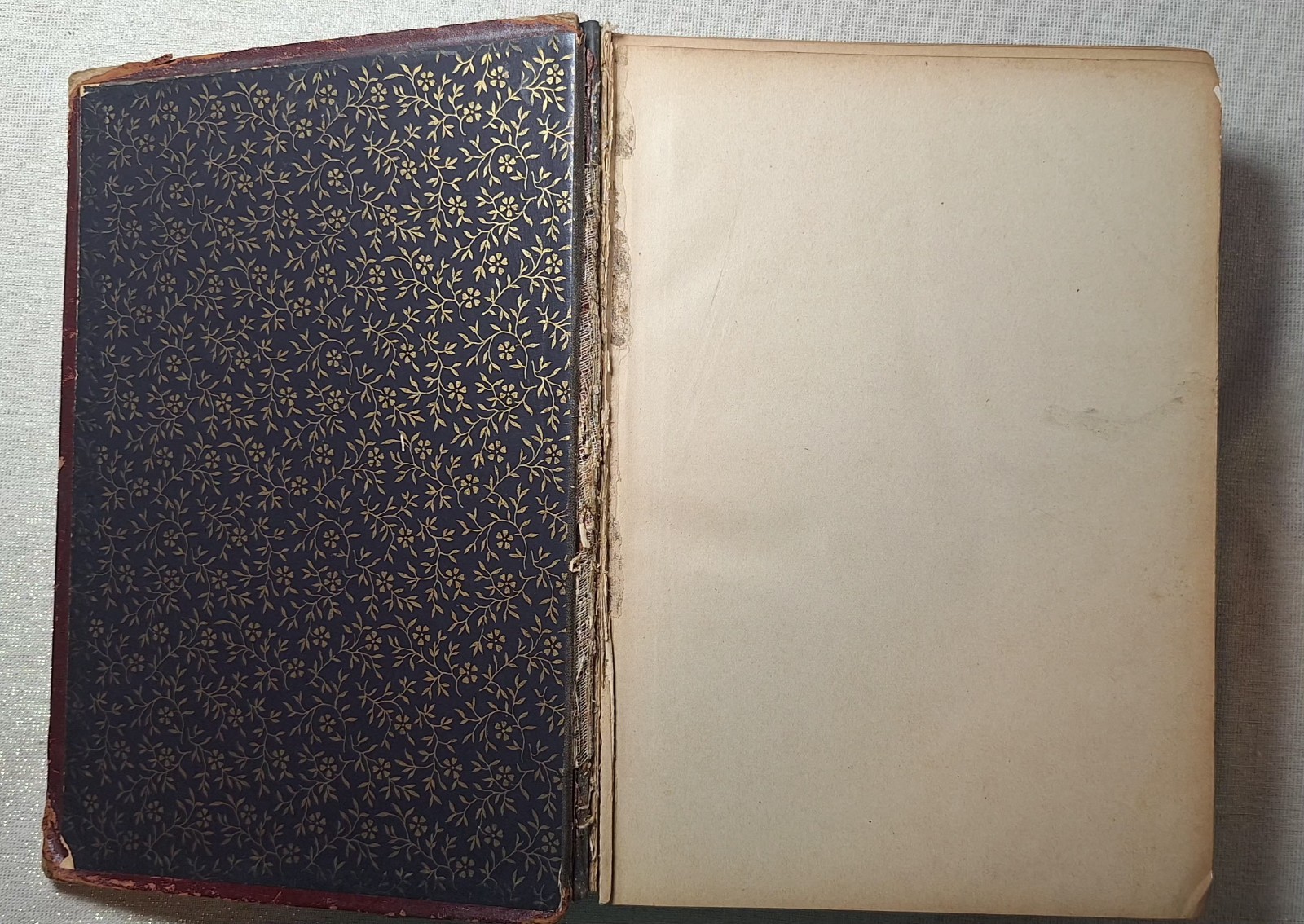 Antique Shakespeare Art Edition 1889 Decorative Debossed Gold Gilt Cover, Edges