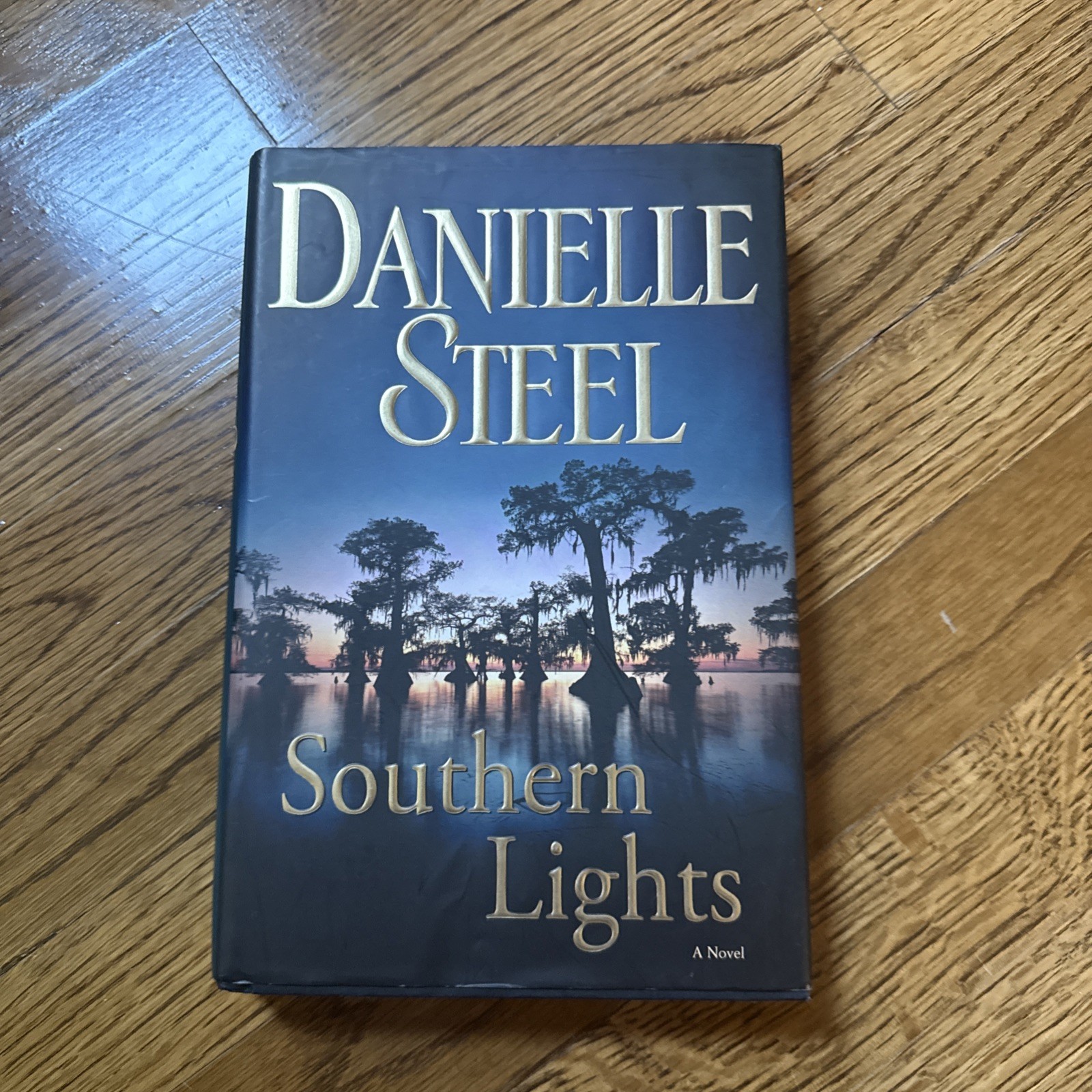 Southern Lights by Danielle Steel (2009, Hardcover)