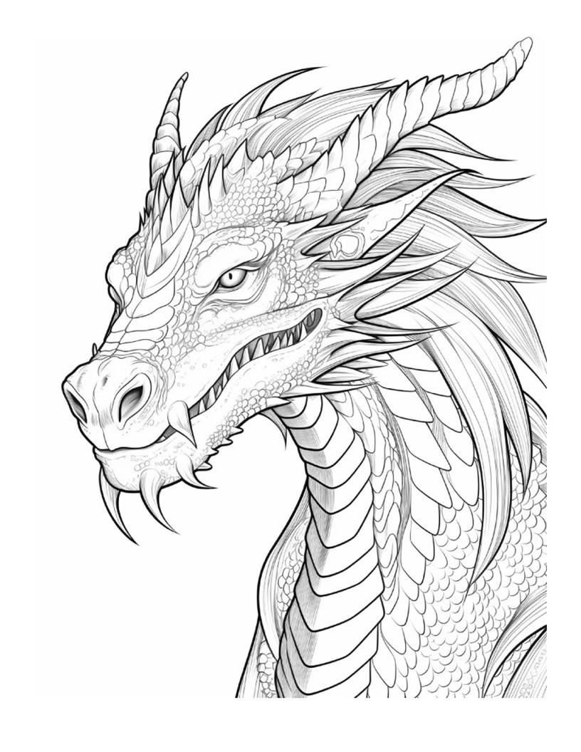 Dragon Coloring bookhours of fun for all