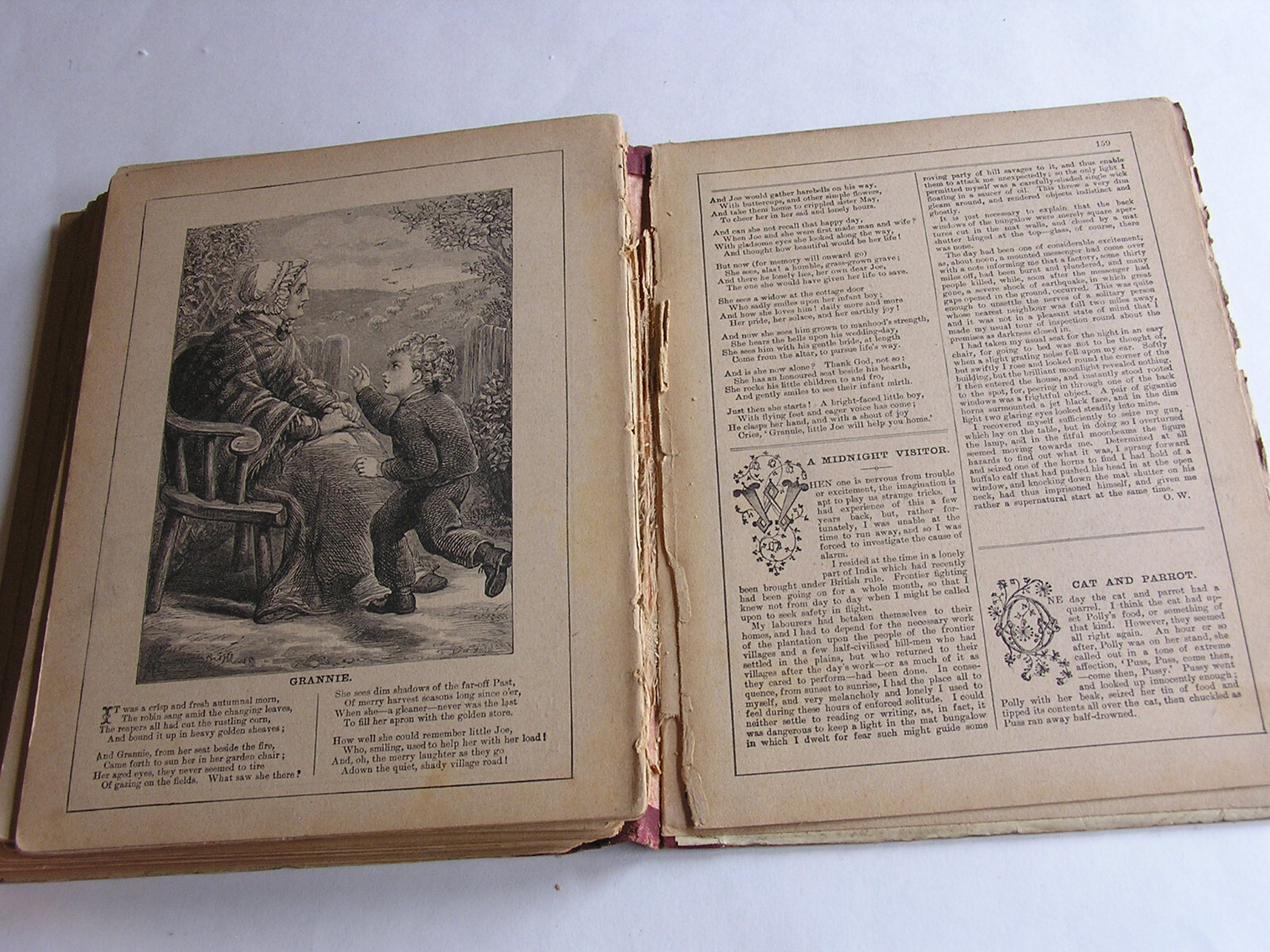 Vintage Rare 1889 Children’s hardcover- 166 pages