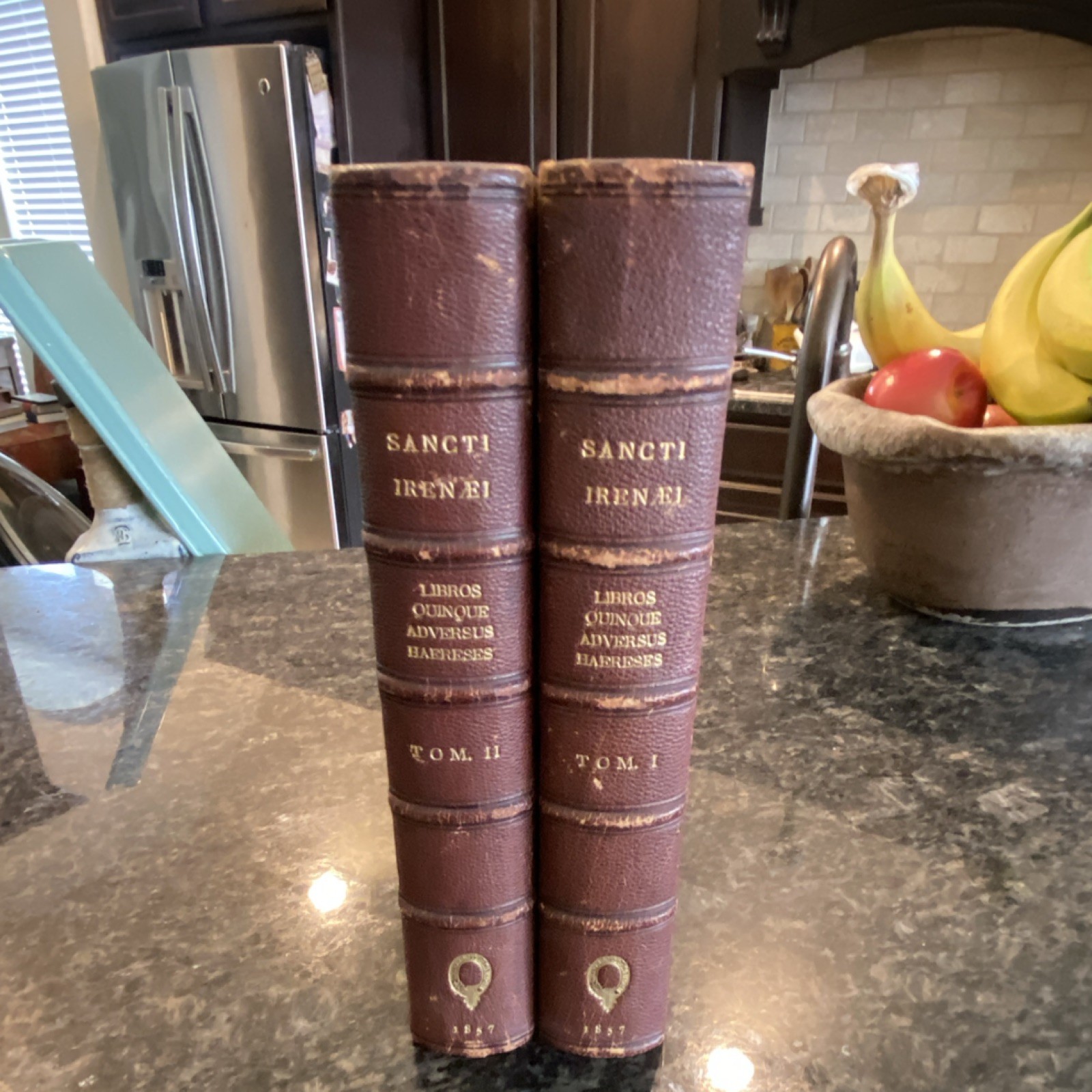 Sancti Irenaei W. Wigan Harvey Libros Quinque Adversus Haereses Leather Typis A…