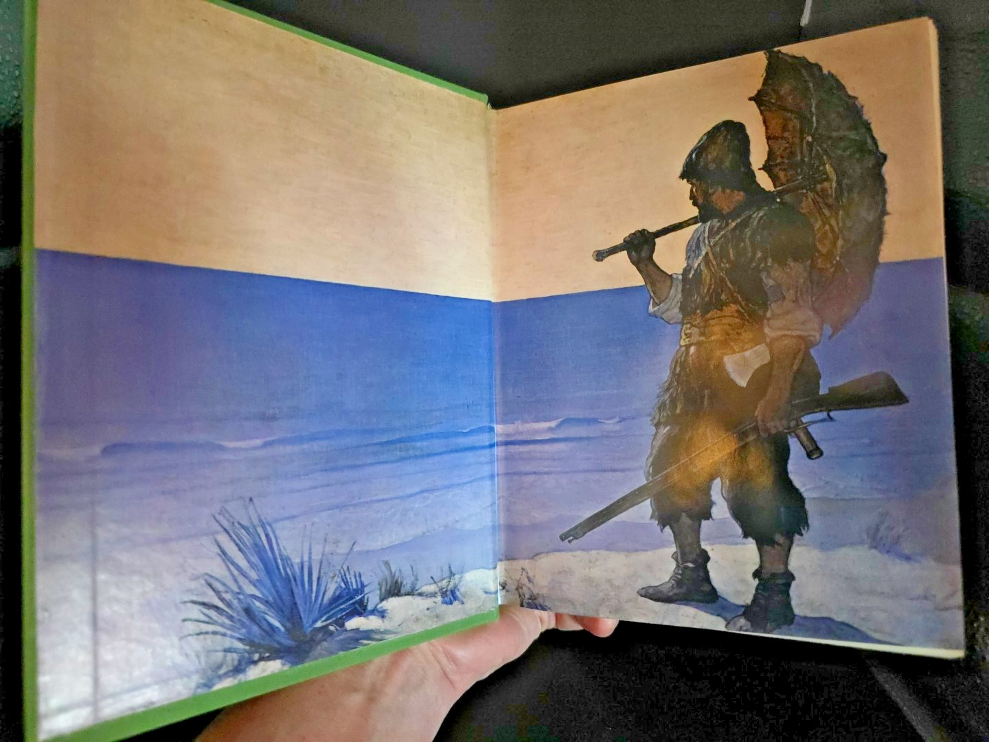 Numbered, Limited Edition Robinson Crusoe Defoe / N.C. Wyeth Illustrations 1983