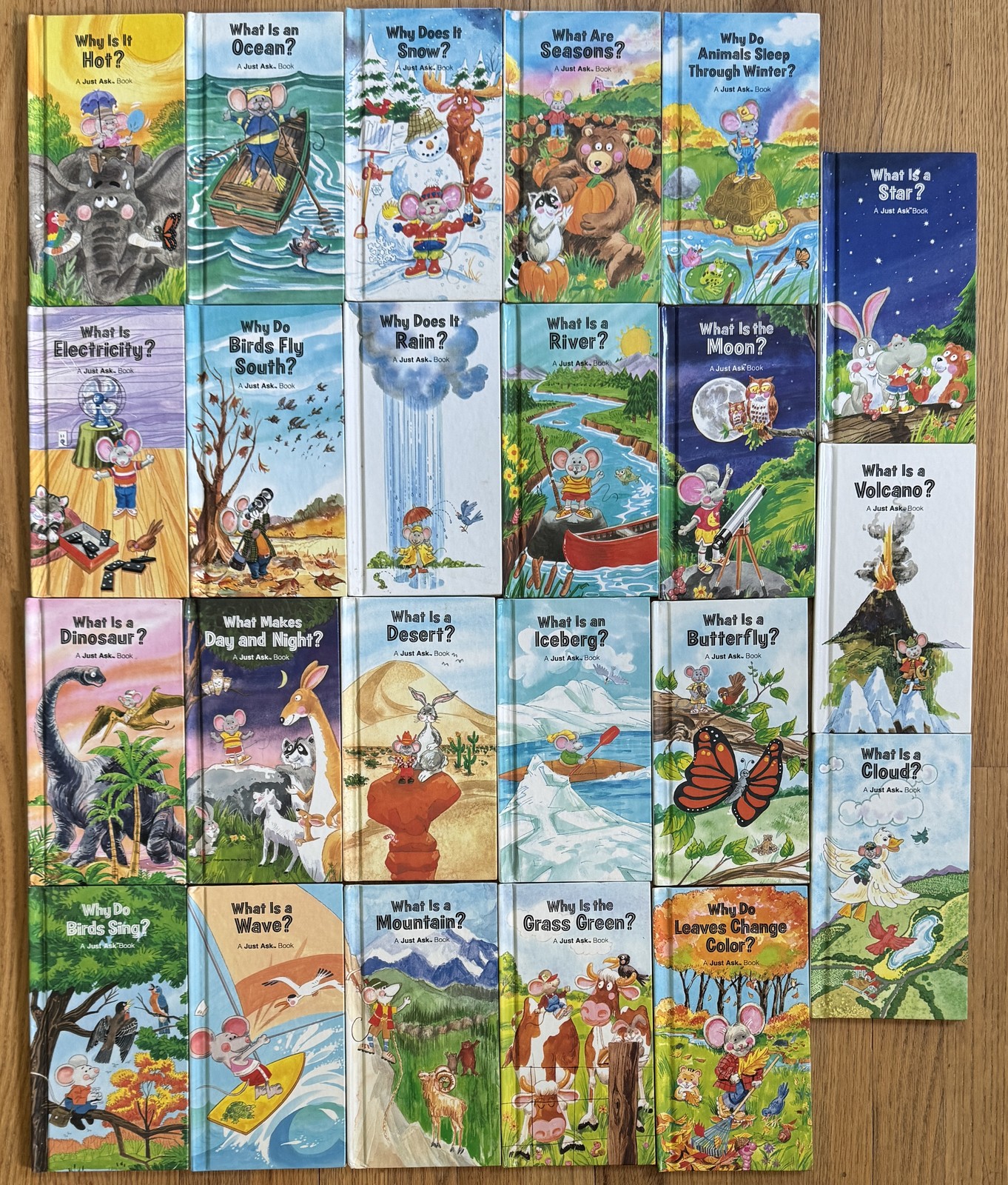 Lot 23 JUST ASK Picture books What Is a Desert Mountain
