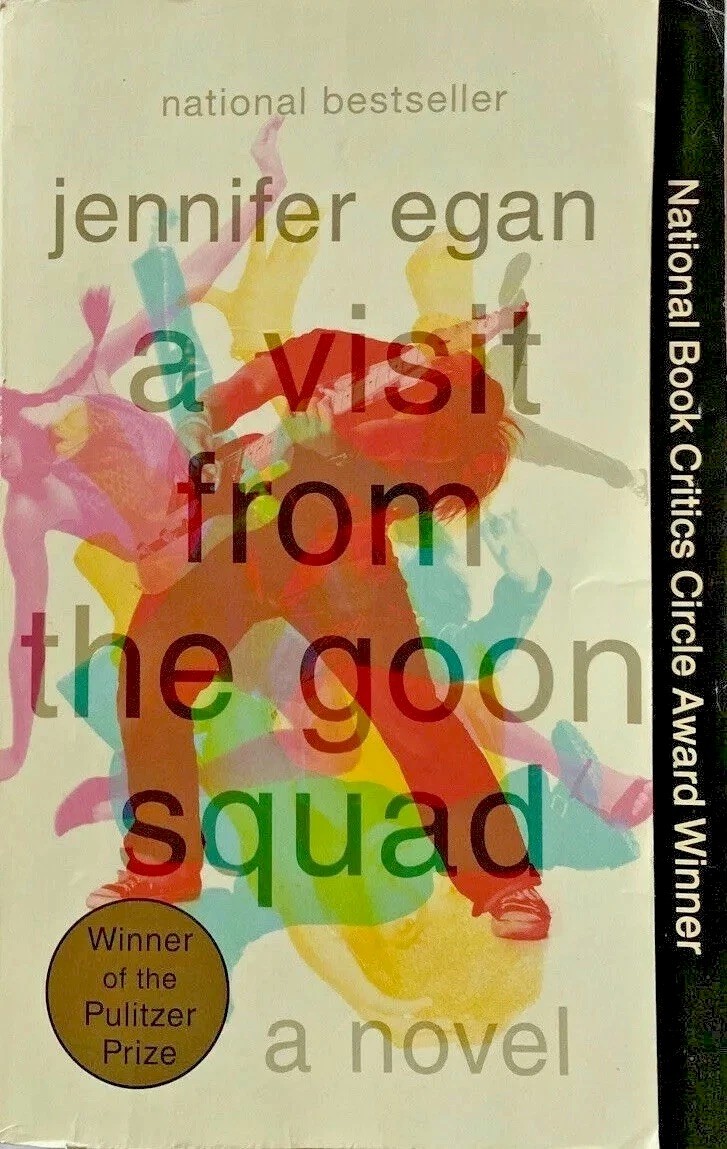 Visit from the goon squad book Jennifer Egan award winning novel FREE SHIPPING