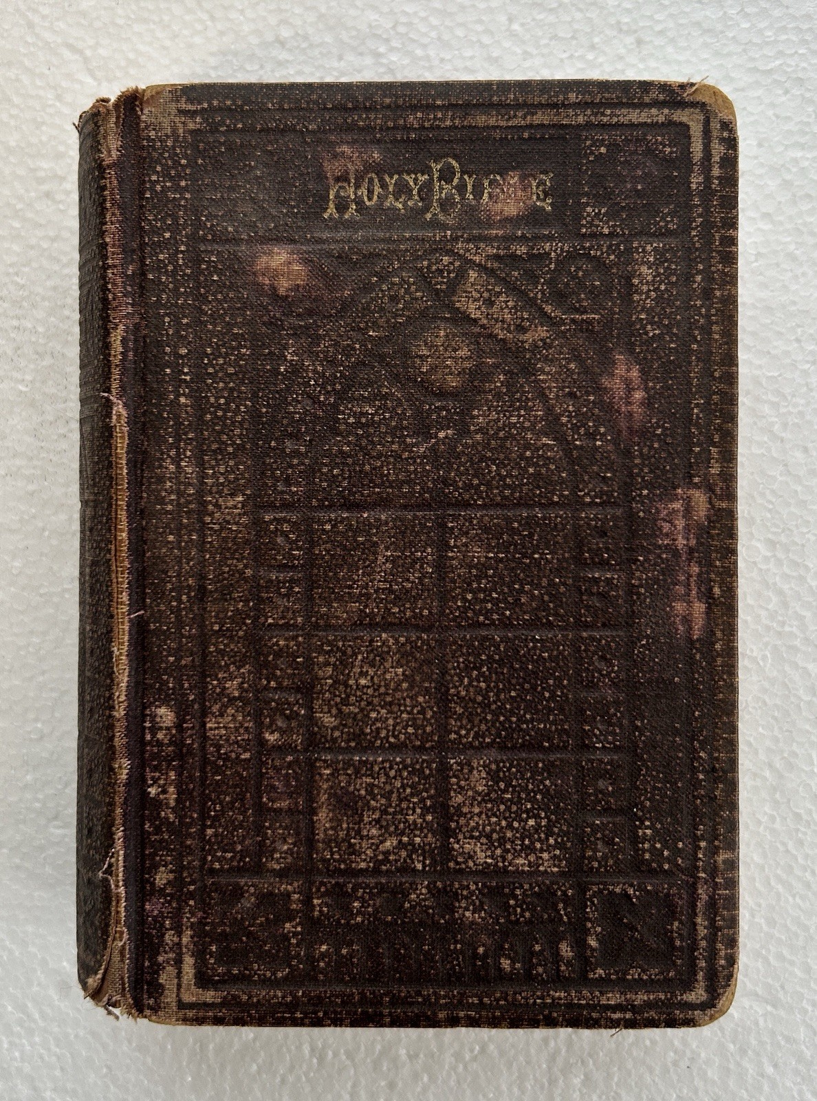 Mr 37th 1880 Bible Translated Out Of Original Tongues NY American Bible Society