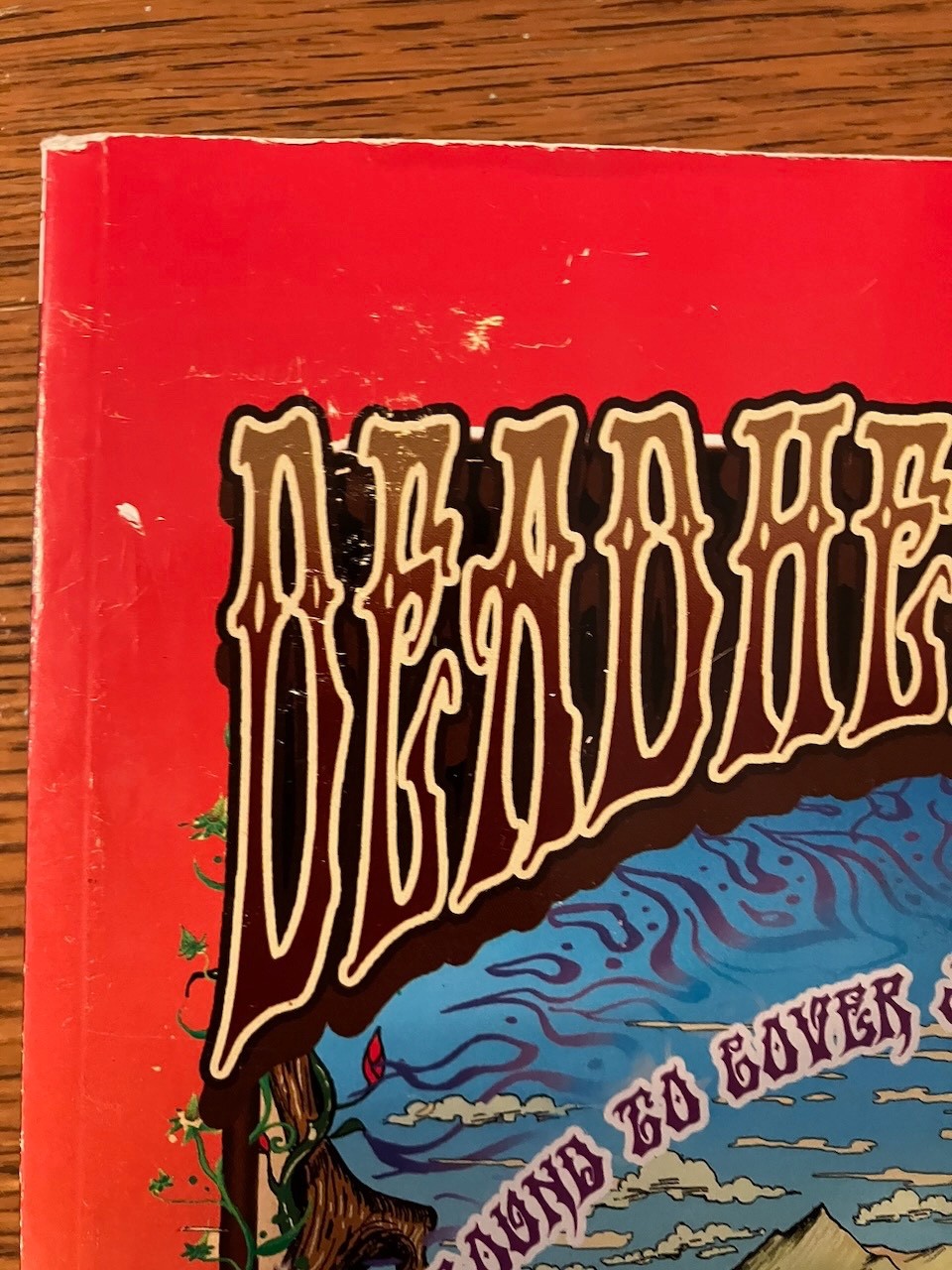 “Deadhead Stories, for the fans from the fans” Book in Vibrant Color