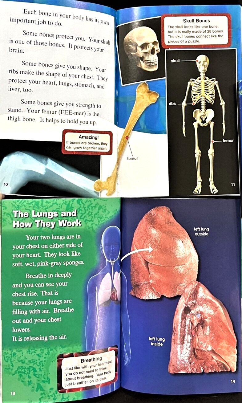2nd Grade – TIME FOR KIDS (SOCIAL STUDIES & SCIENCE) 30 Nonfiction Reader Books