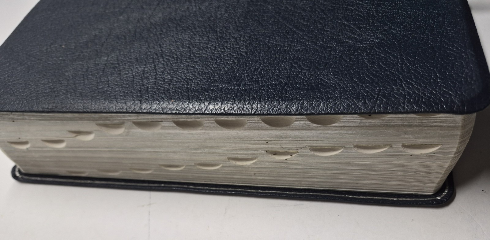 Zondervan Genuine Leather NIV Application Study Bible Navy Red Letter