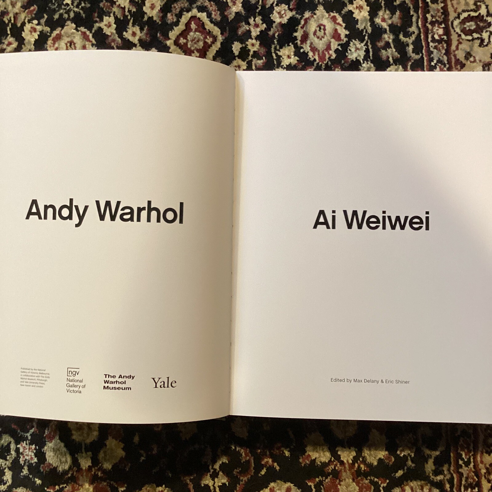 Andy Warhol | Ai Weiwei by Max Delany + Eric Shiner | Hardcover