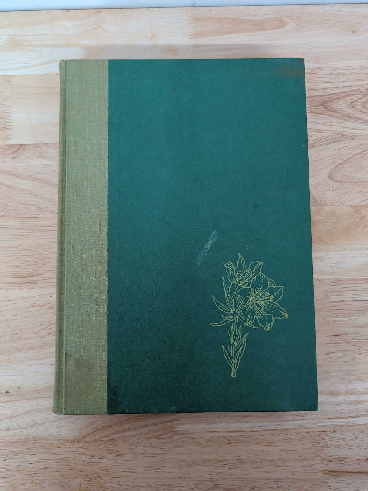 Wild Flowers of America Mary Vaux Walcott 1965 5th Printing