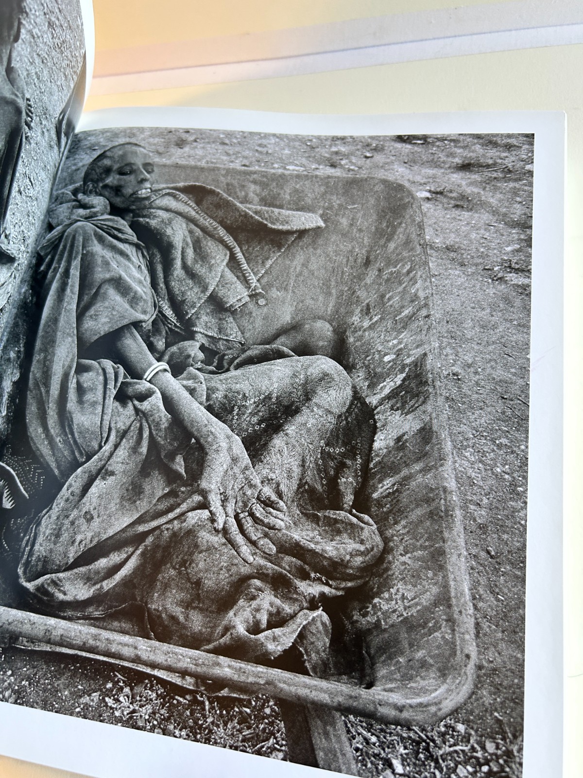 The New York Times Magazine Photo Book Photographs by Kathy Ryan (448 Pages)