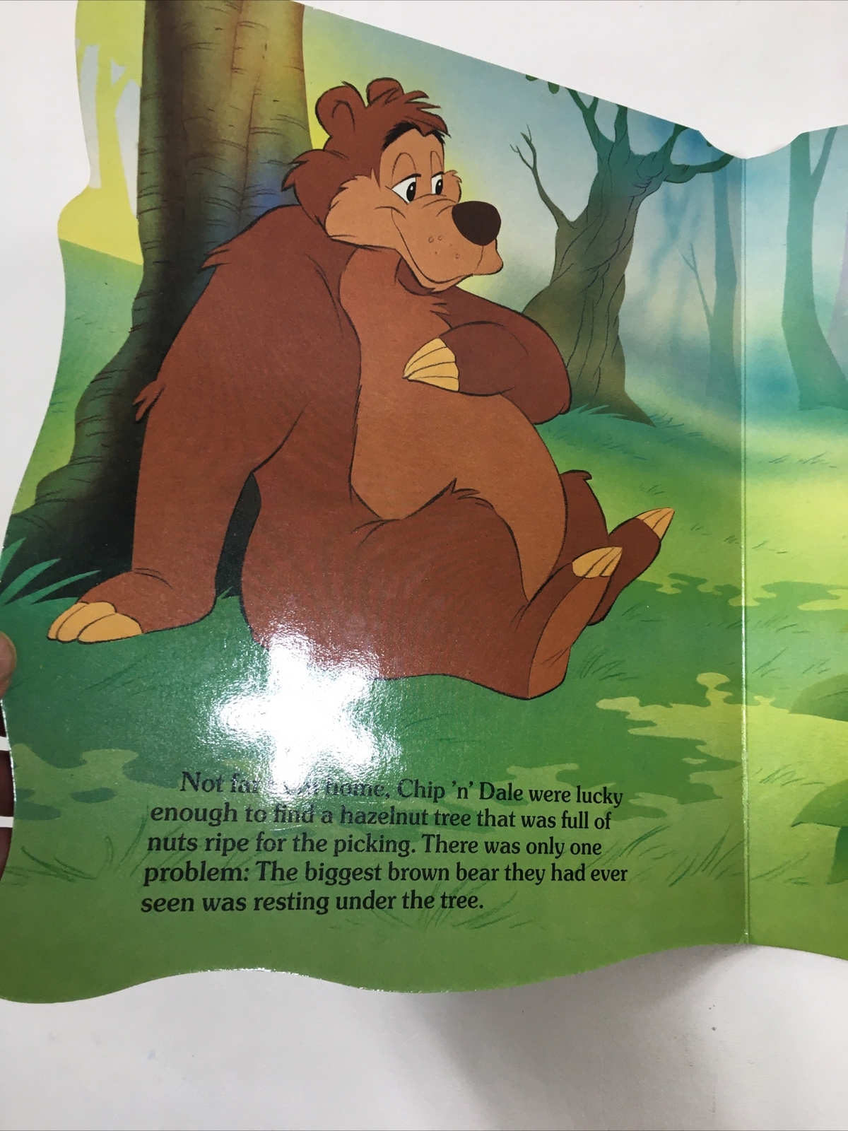Chip ‘n’ Dale and the Bear – Disney (1989, Hardcover)