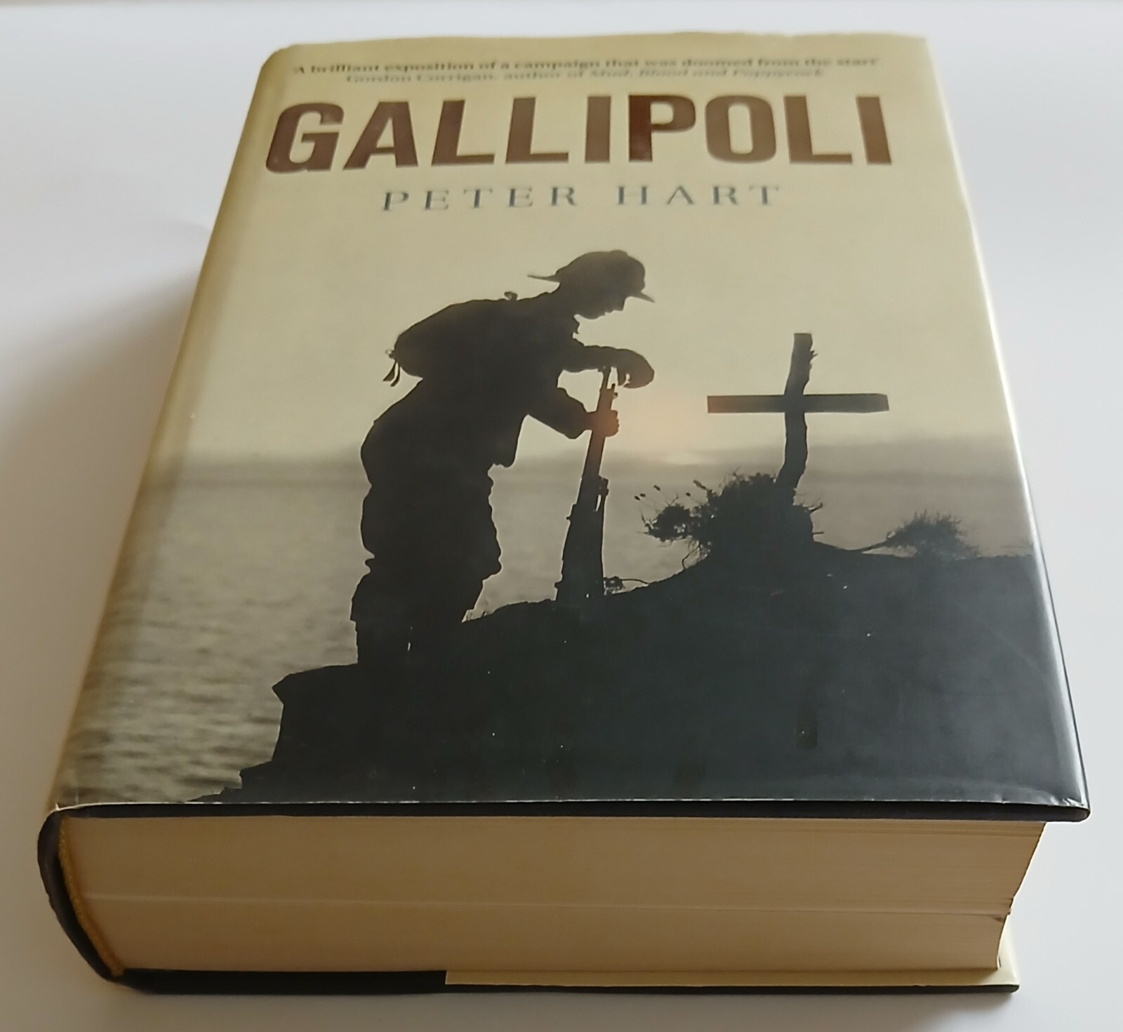 Gallipoli Peter Hart 2011 Hardback Profile Books 1st Profile Books