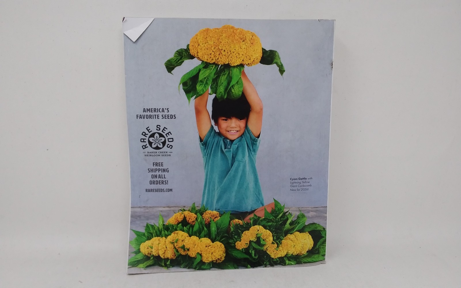 The Whole Seed Catalog 2026 Baker Creek Heirloom Seeds 532 Pages Seeds & Recipes