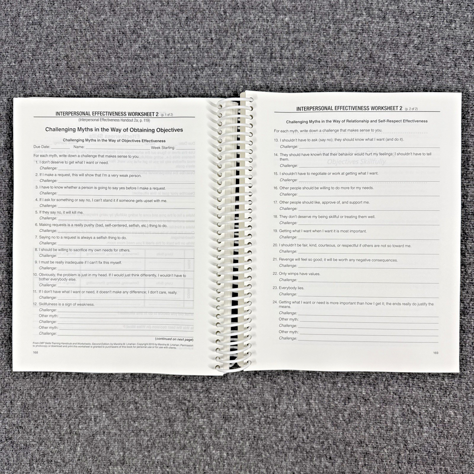 DBT Skills Training Handouts and Worksheets by Marsha M. Linehan, Like New