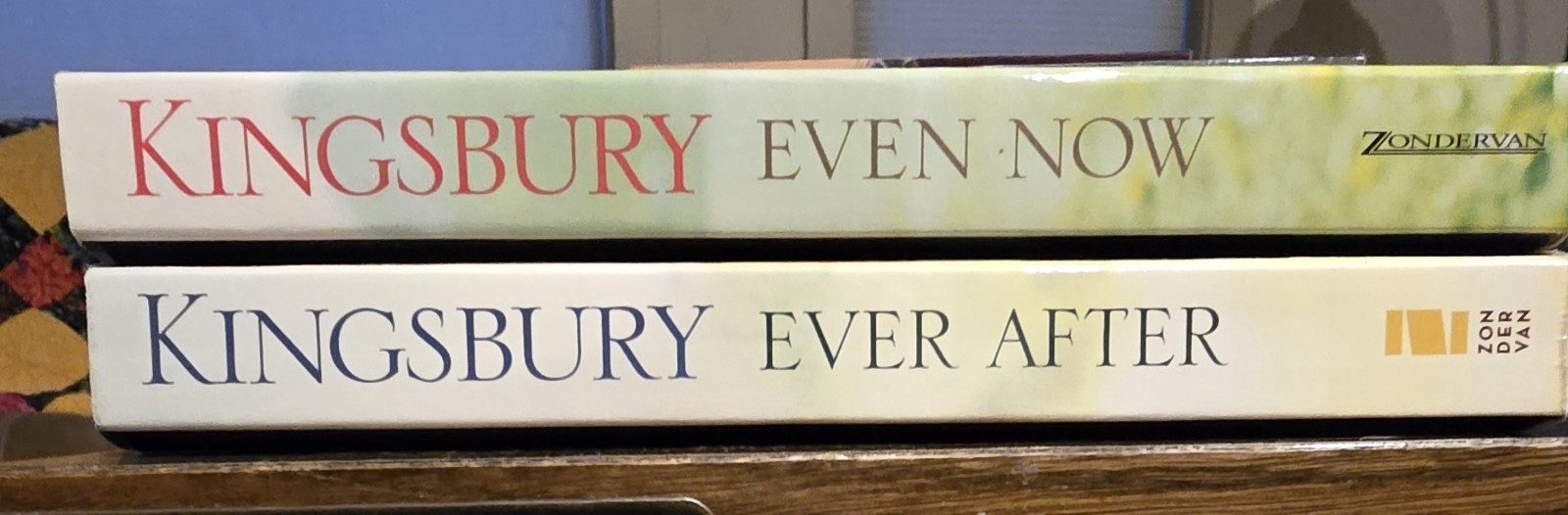 Karen Kingsbury Lot Of 29 Six Complete Series Plus 4 Stand Alone And 4 Extras