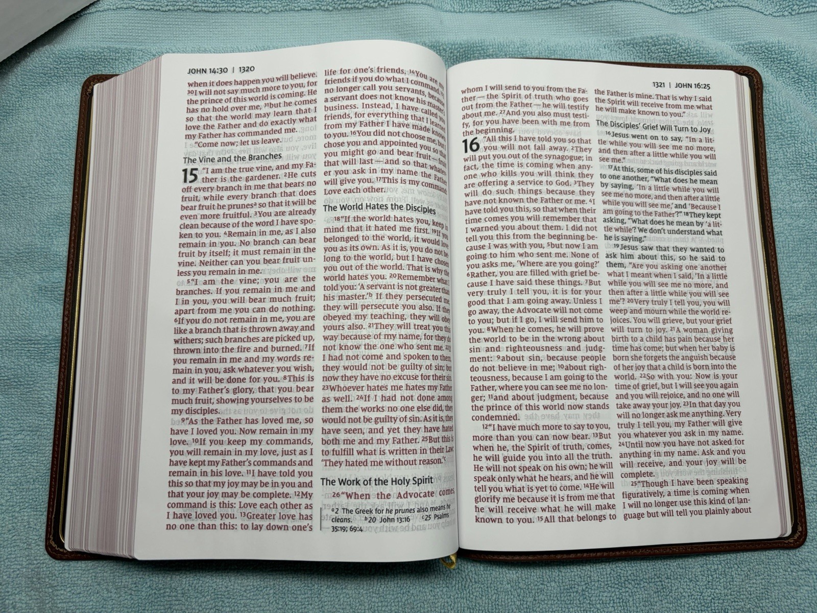 NIV Thinline Bible, Giant Print, Genuine Leather, Buffalo, Red Letter Edition