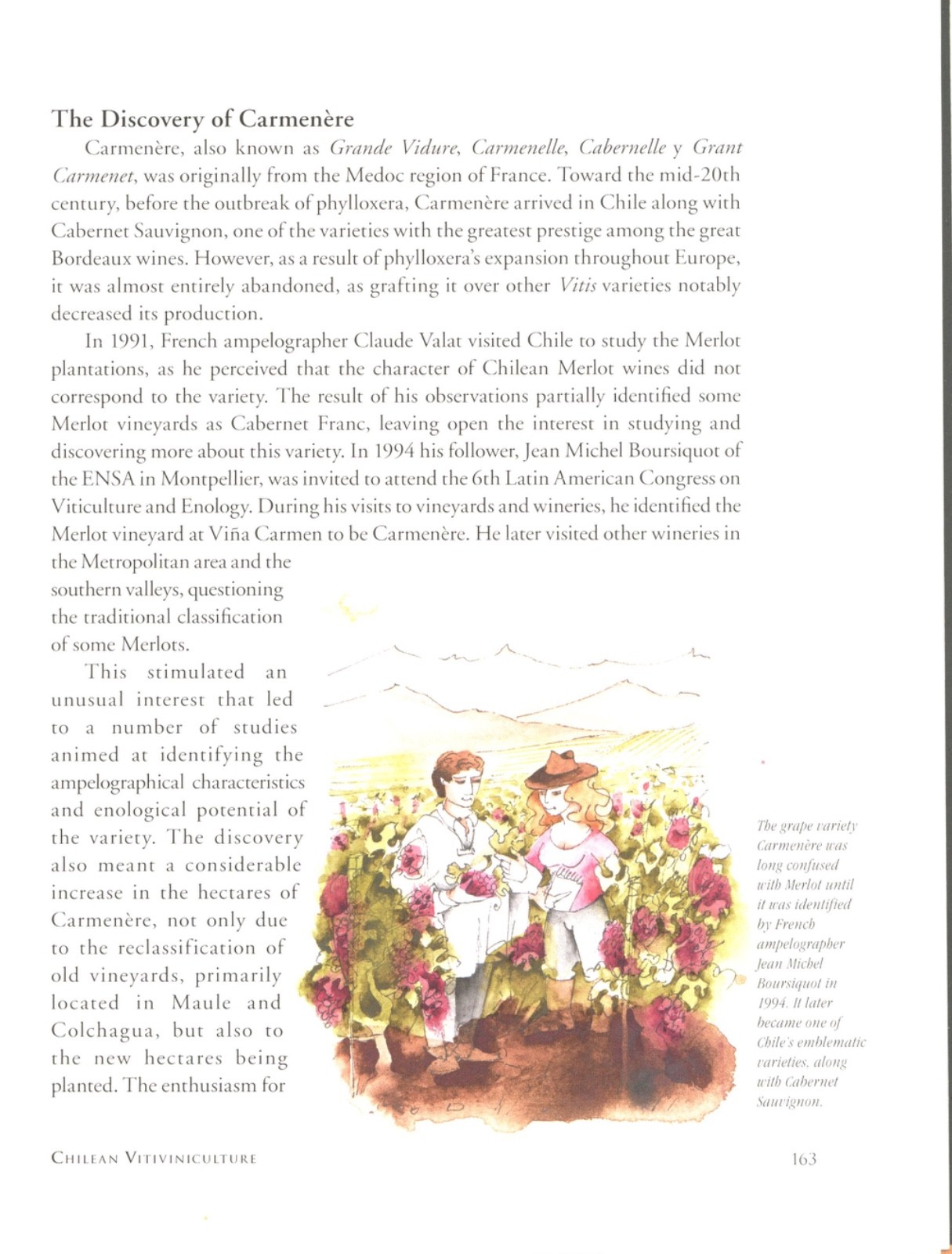 Alvarado CHILEAN WINE