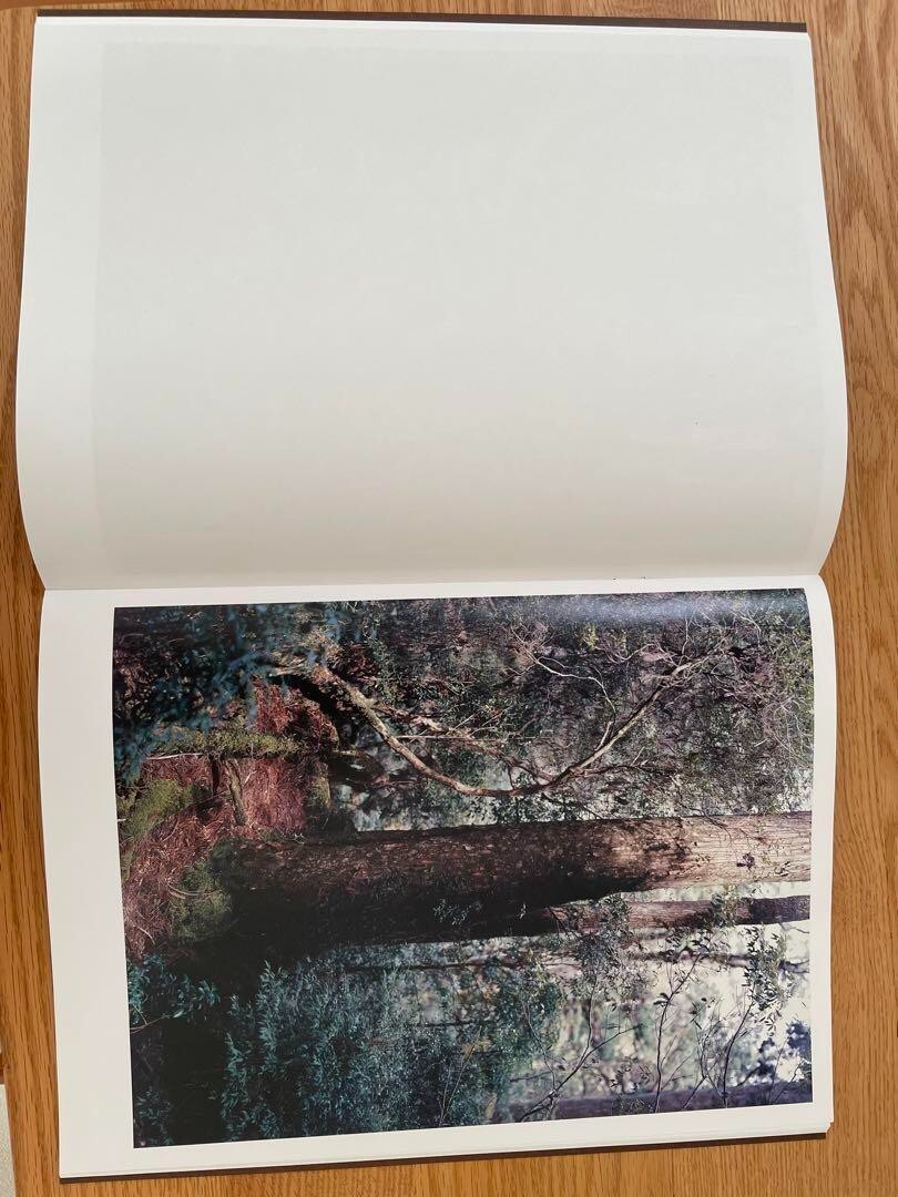 Materia Yoshihiko Ueda 2012 Japanese Photography Book Yakushima Landscape Forest