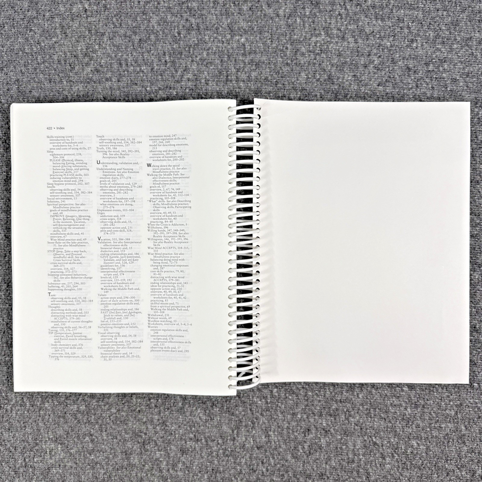 DBT Skills Training Handouts and Worksheets by Marsha M. Linehan, Like New