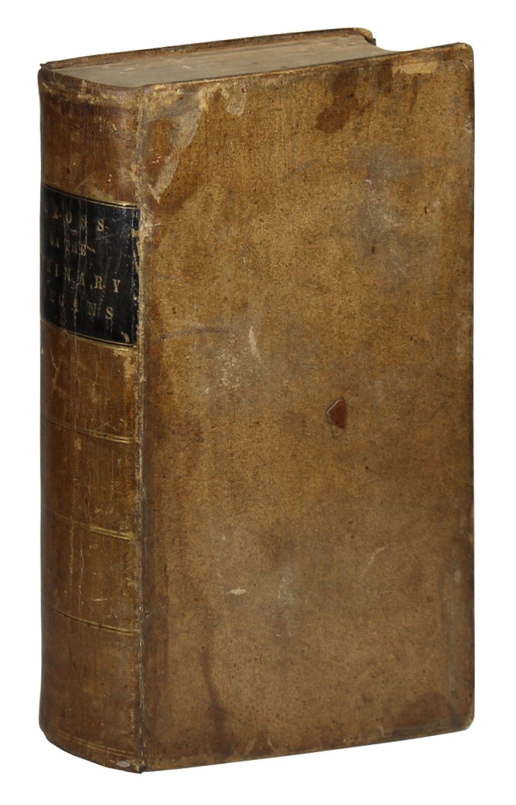 A Practical Treatise Diseases Injuries Urinary Bladder Prostate Gross 1851 HC