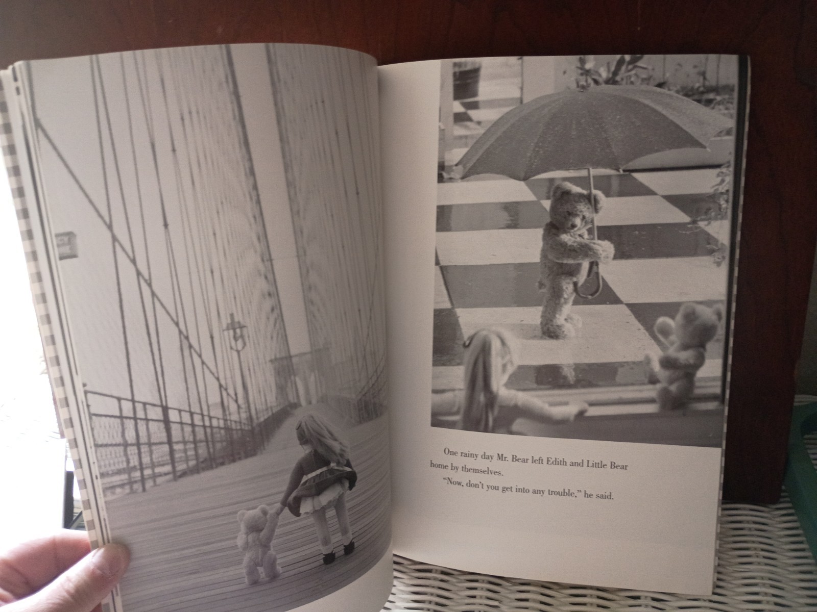 Vintage The Lonely Doll Paperback Book